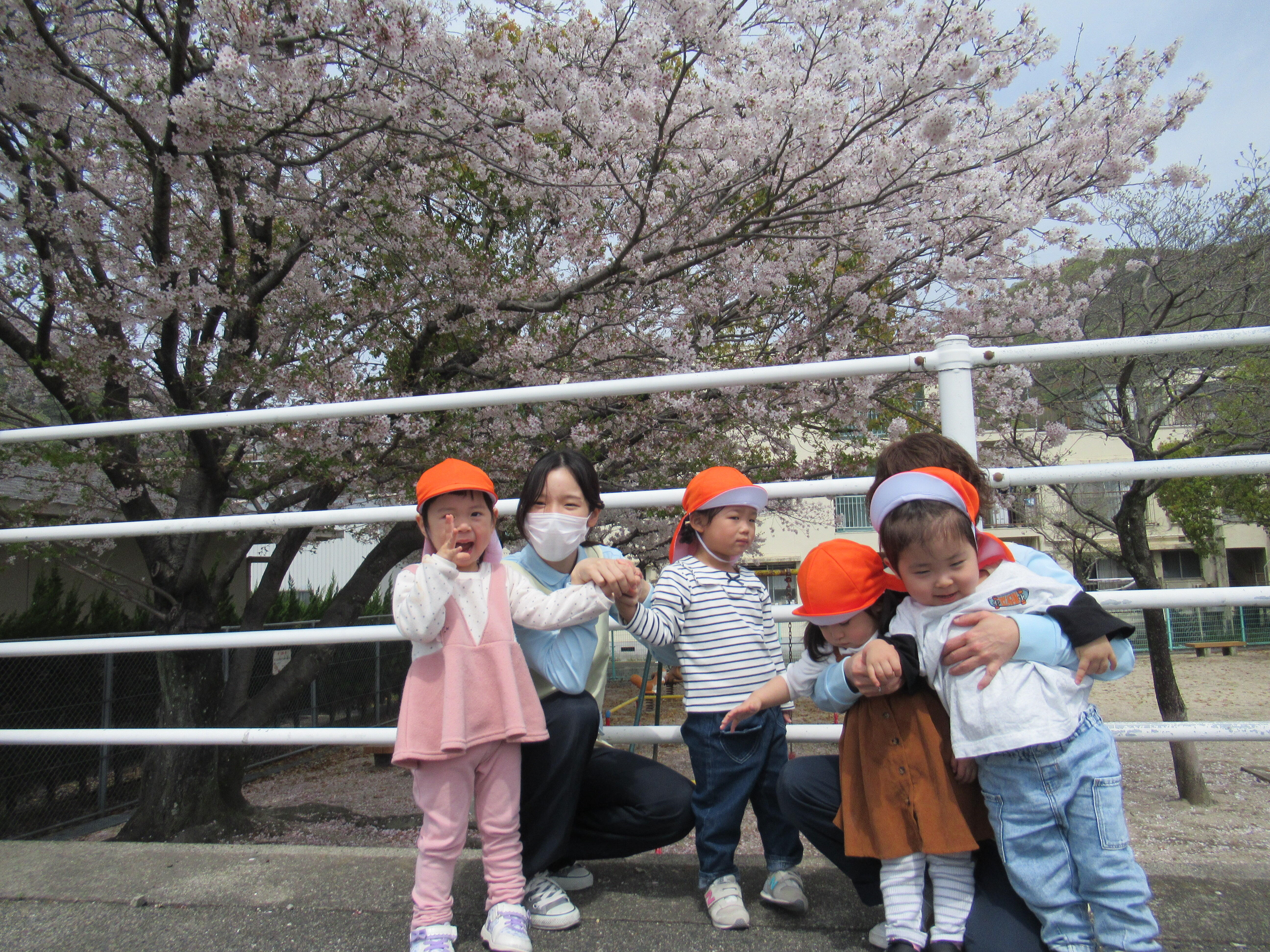 近くの公園へ桜を見に行きました。（２歳児クラス）