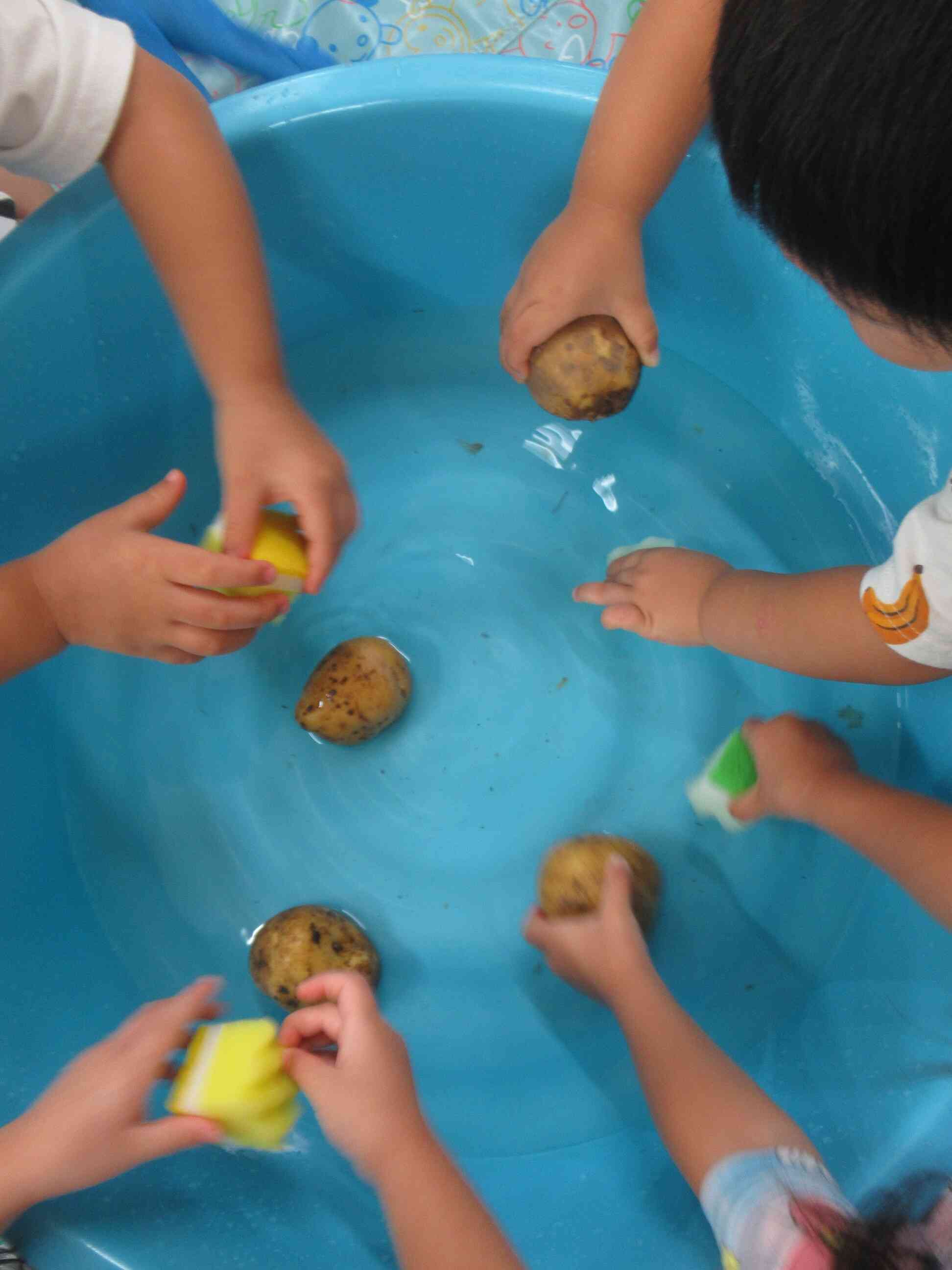 9月の食育「カレーライスの野菜を洗おう」