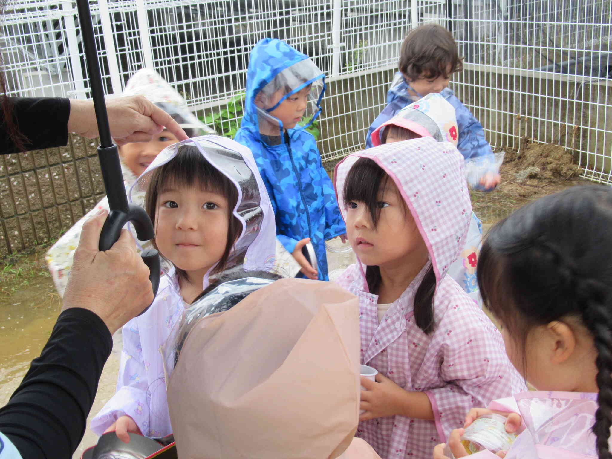 先生がさしていた傘の下に入ってみたよ。「パラパラって聞こえた！」「カッパにも雨が当たってる！雨がポツンポツンと傘の上でダンスしてるみたい。」気付いたことや感じたことをみんなが言葉にして教えてくれました。