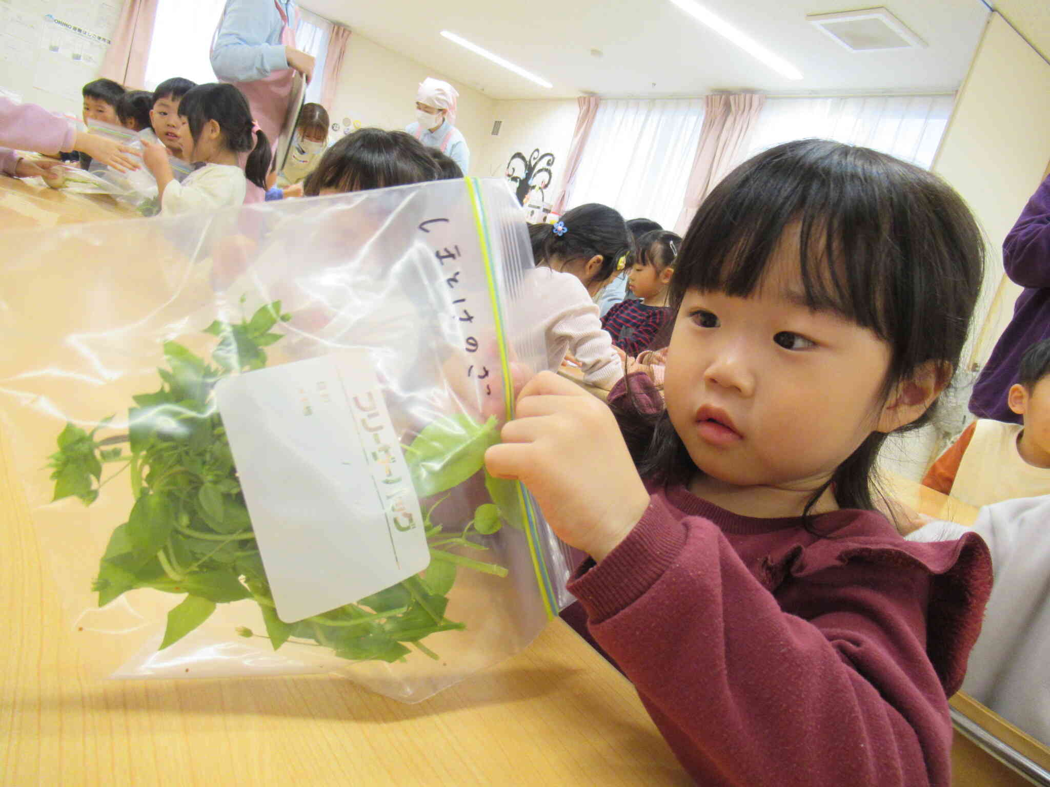 七草っていろいろな種類があるんだね。小さい葉っぱがついてるよ。ちょっとさわってみようかな。