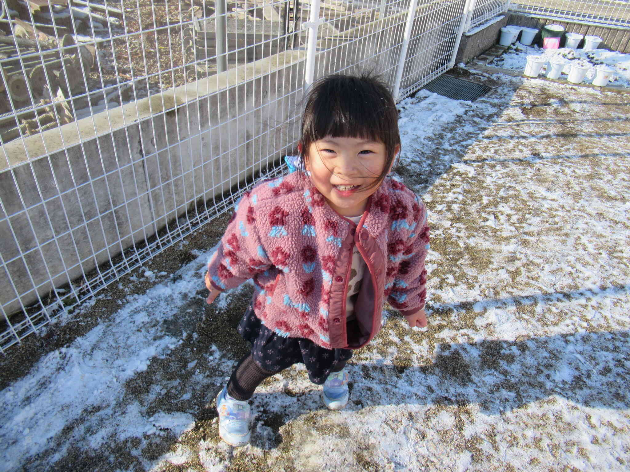 今年初めての雪におおはしゃぎ！走って遊んでいたら体がぽかぽかあたたまってきました。