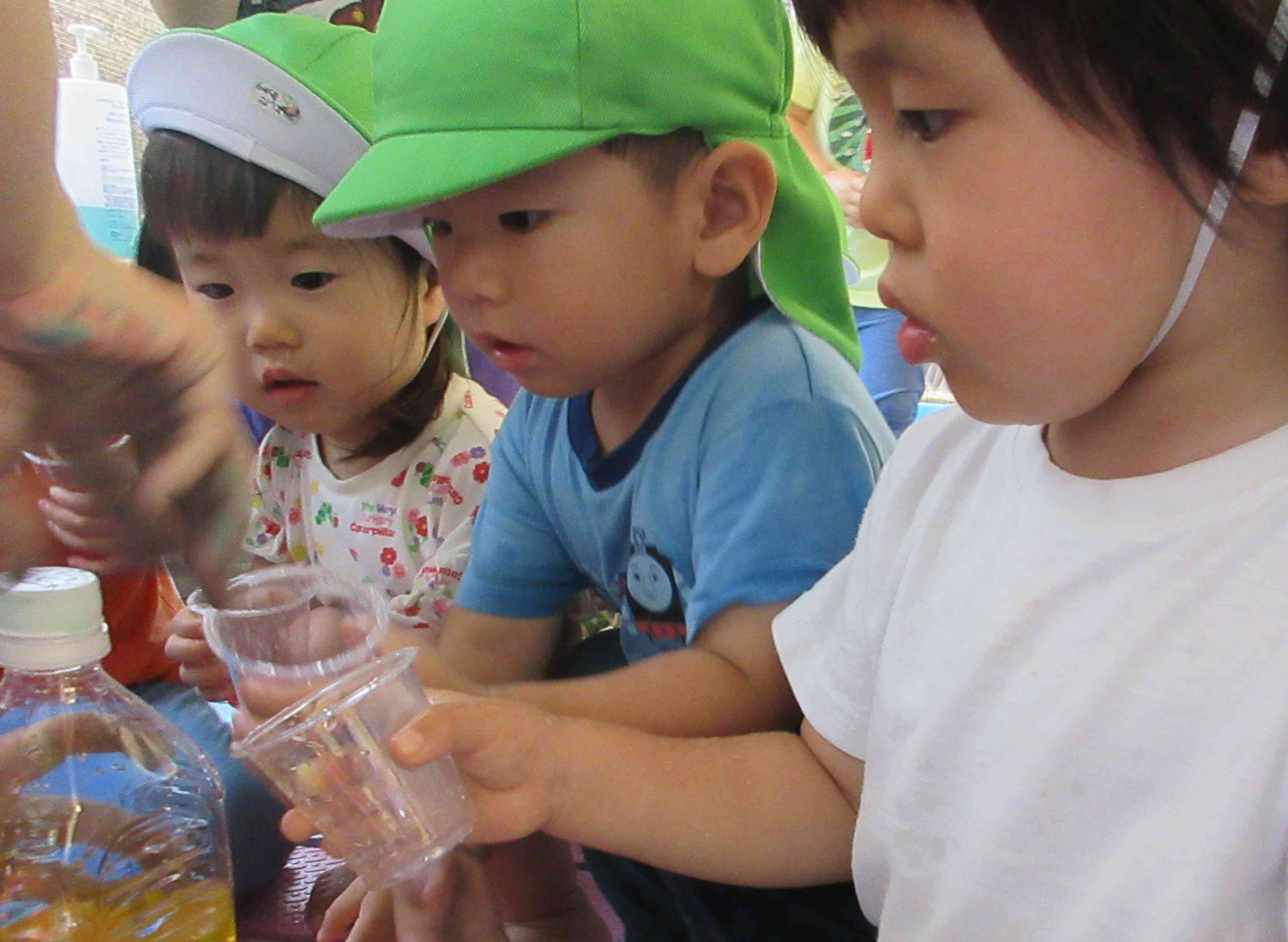 色水遊びに夢中の2歳児　あひる組