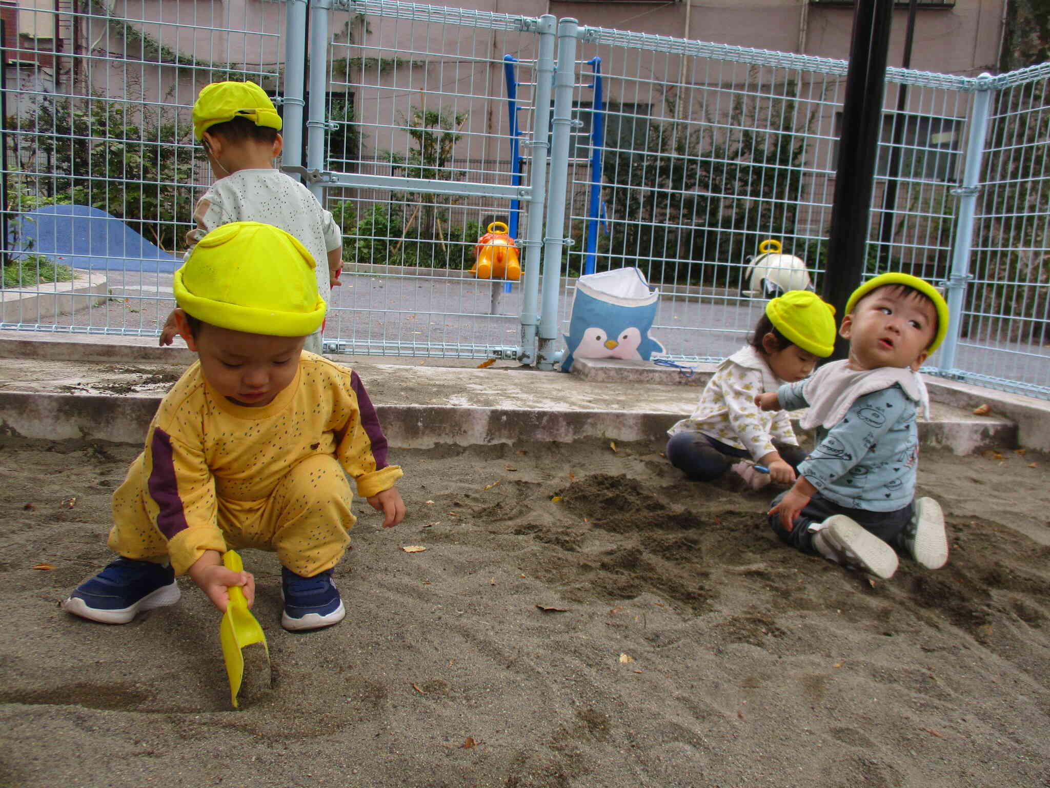 0歳児　ひよこ組　砂遊び