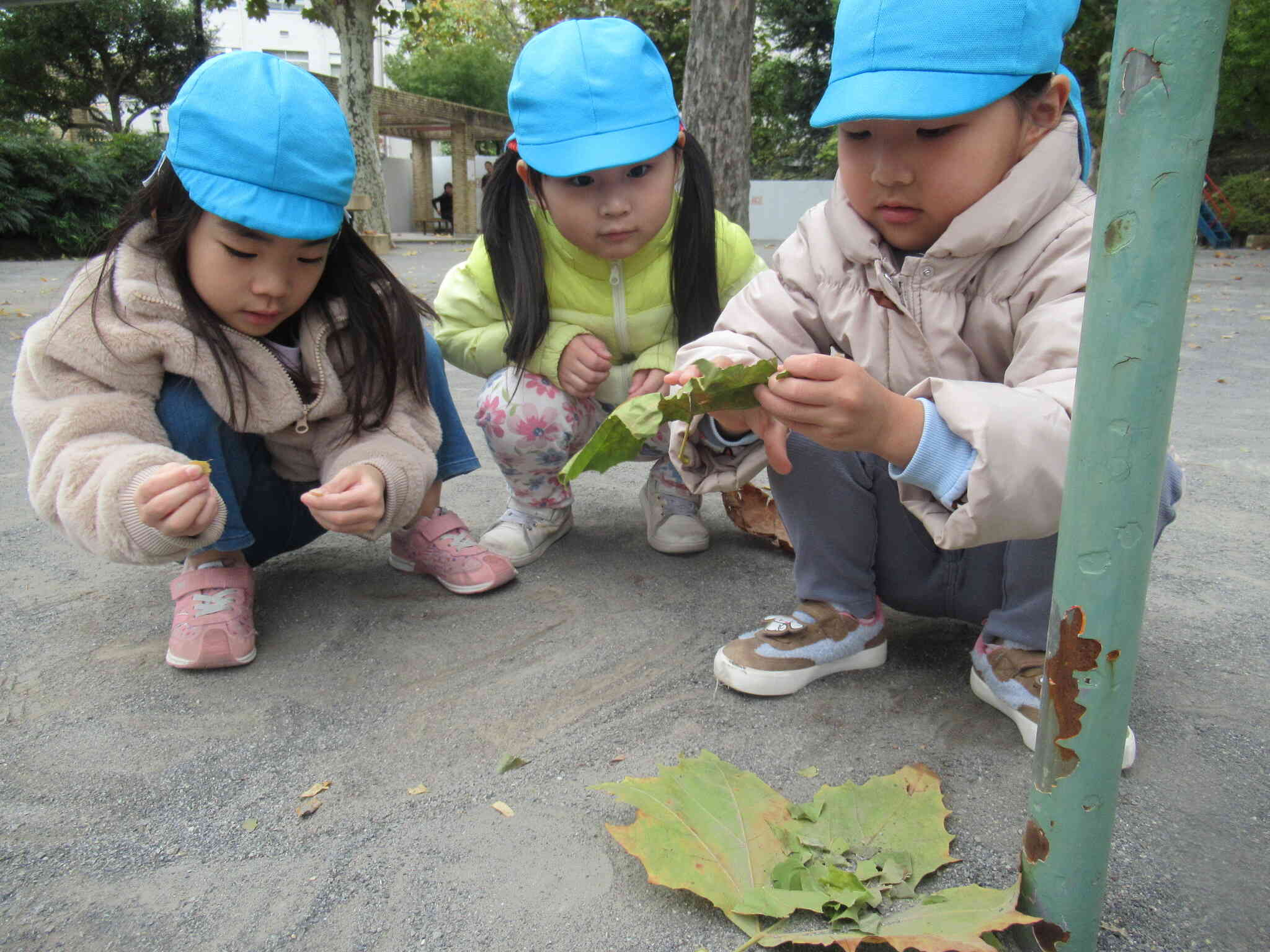 4歳児　戸外遊びの様子