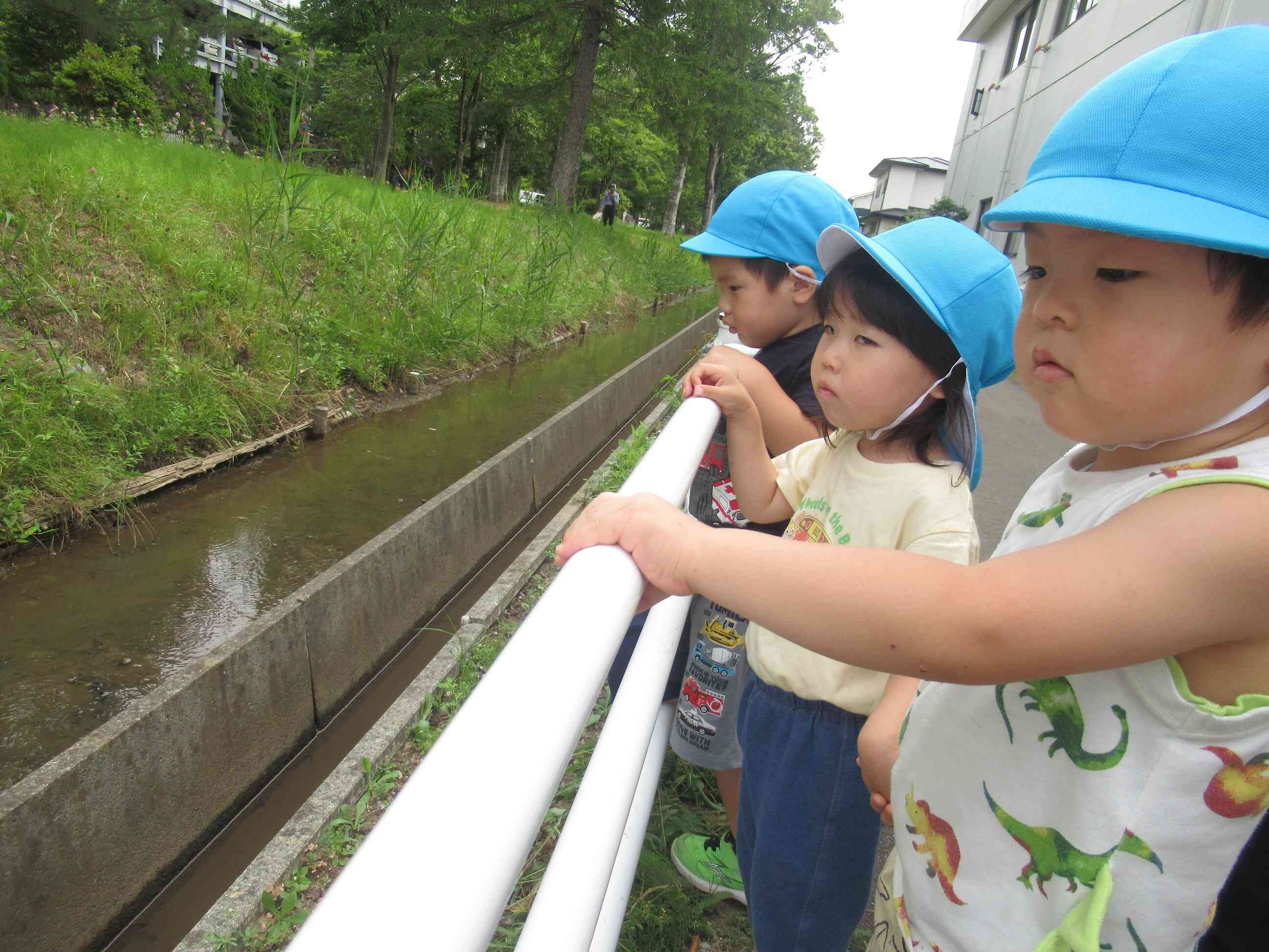 遊歩道の近くを流れる小川。メダカや小さなザリガニも泳いでいます。