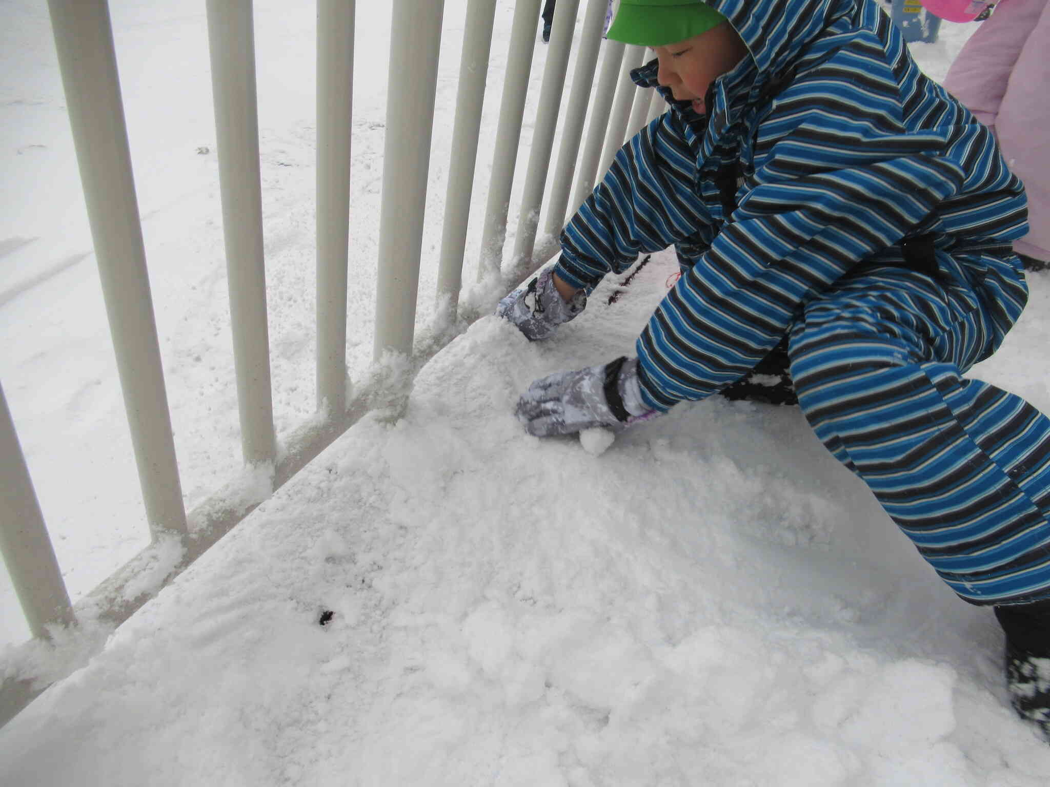 フェンスの下の隙間から器用に雪を落としていたお友達です