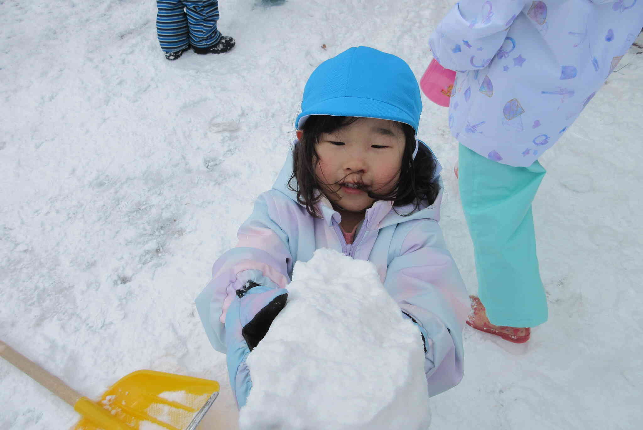 天然の雪玉を発見しました