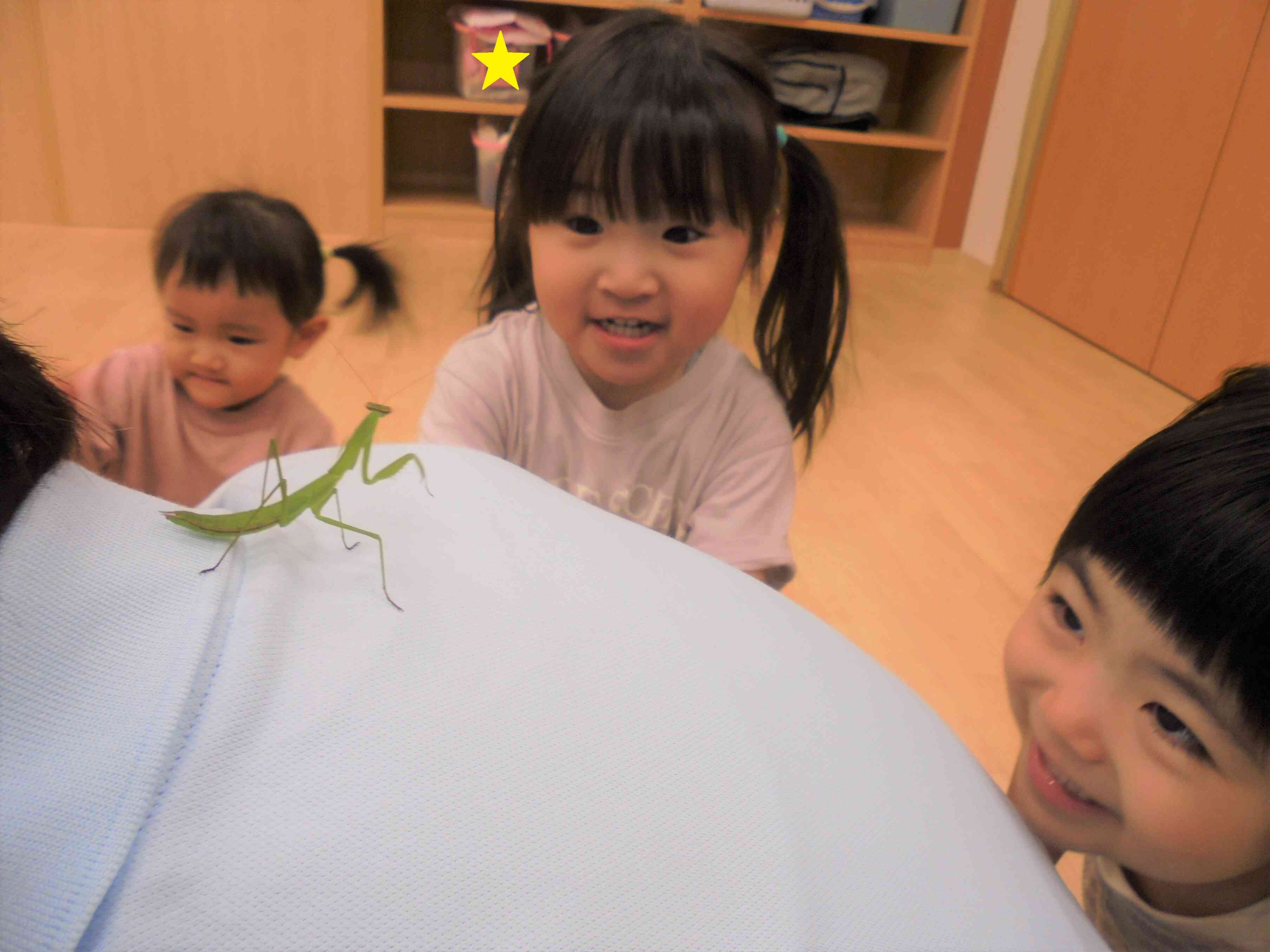 カマキリさん、こんにちは