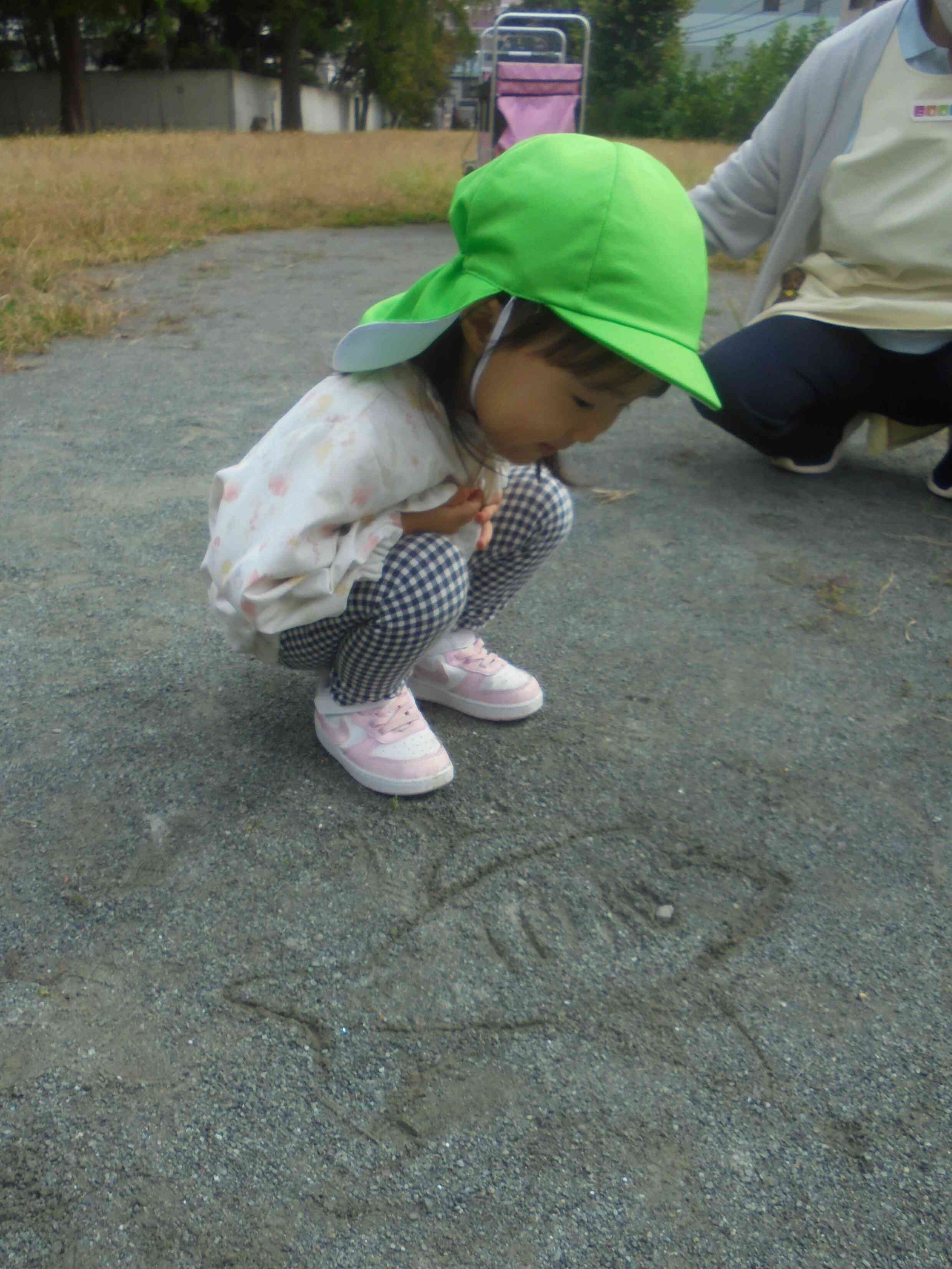 サメさんがいたよ