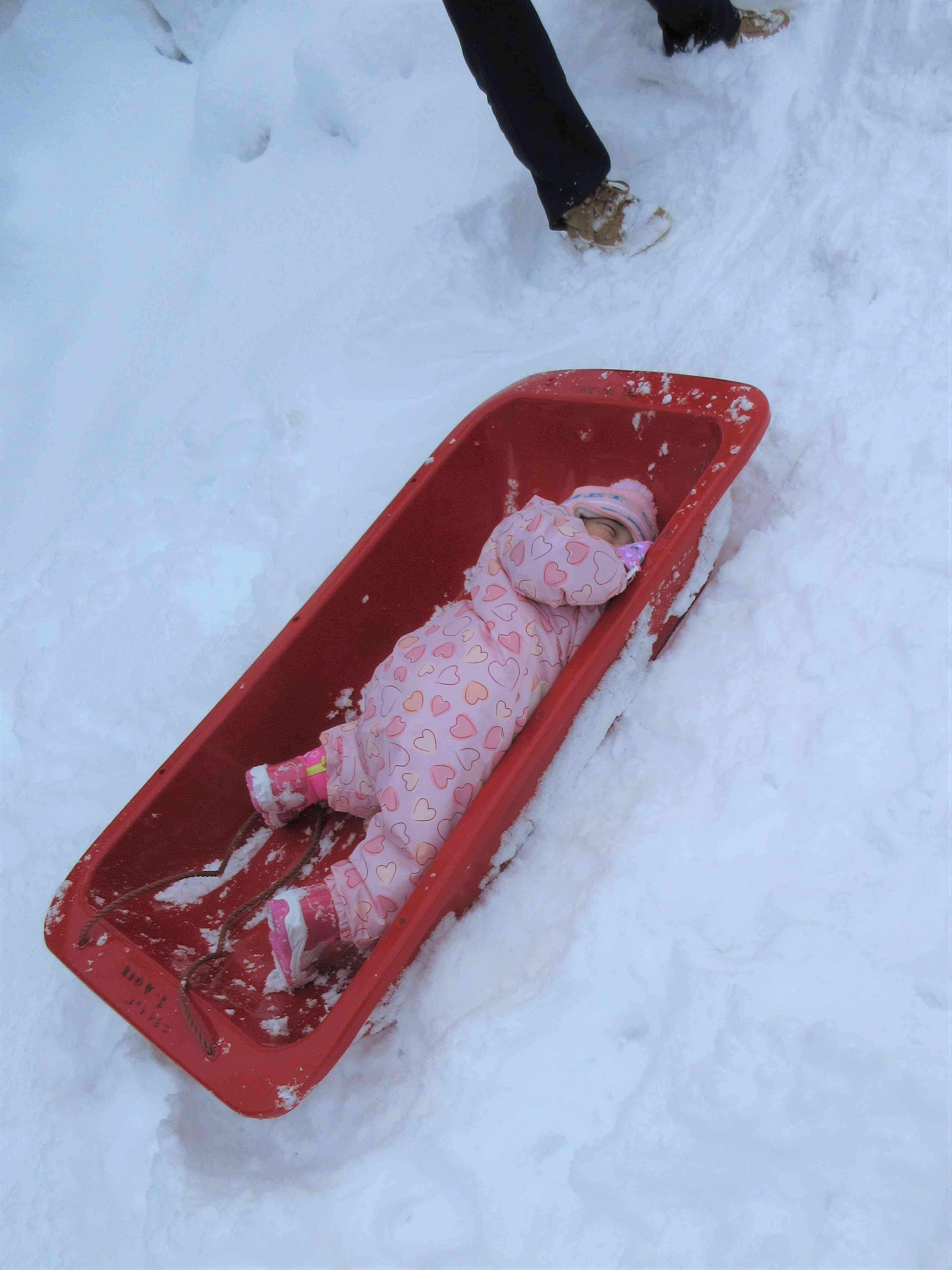 雪山からシューっと滑ってきたよ