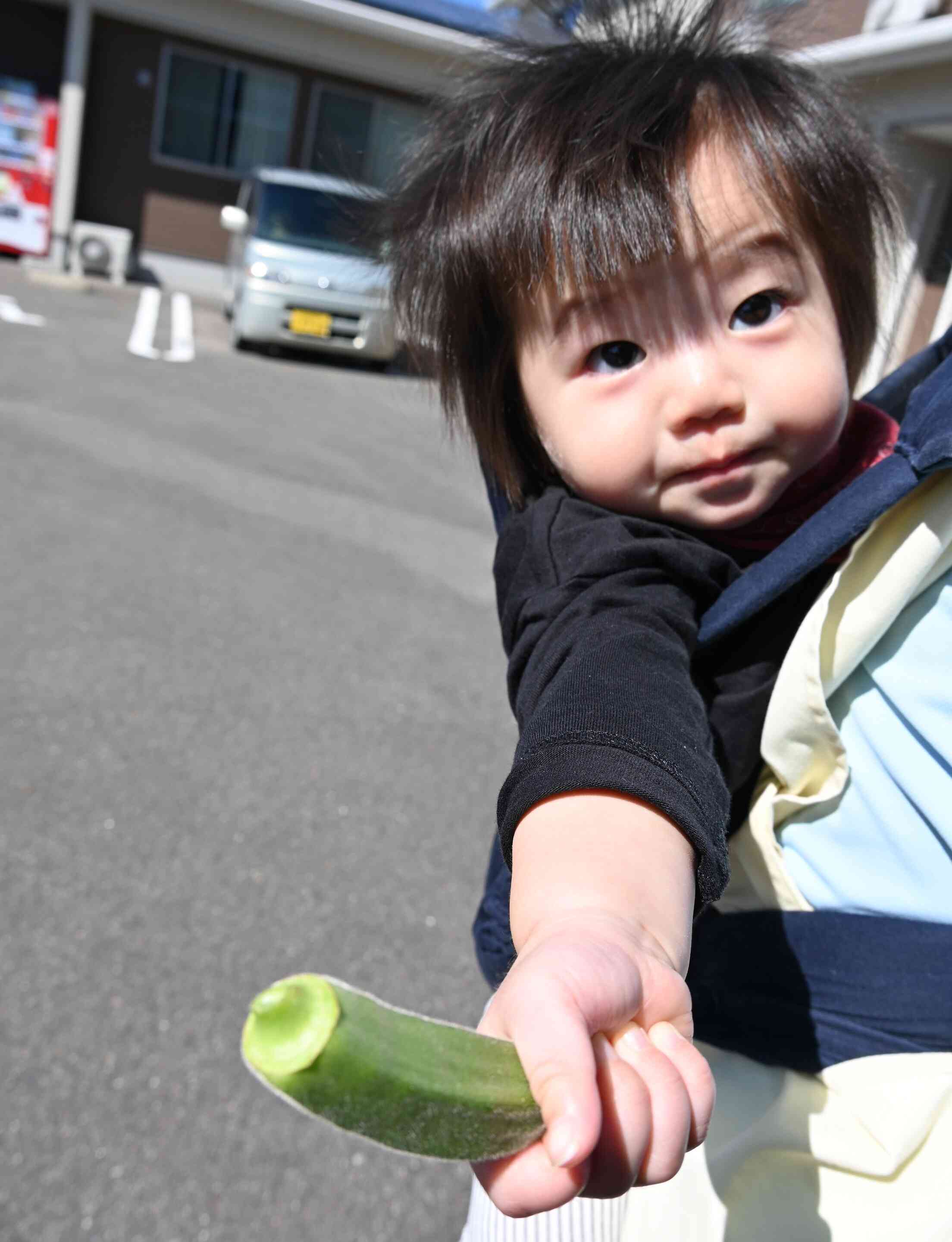 見てみて♪大きいでしょ