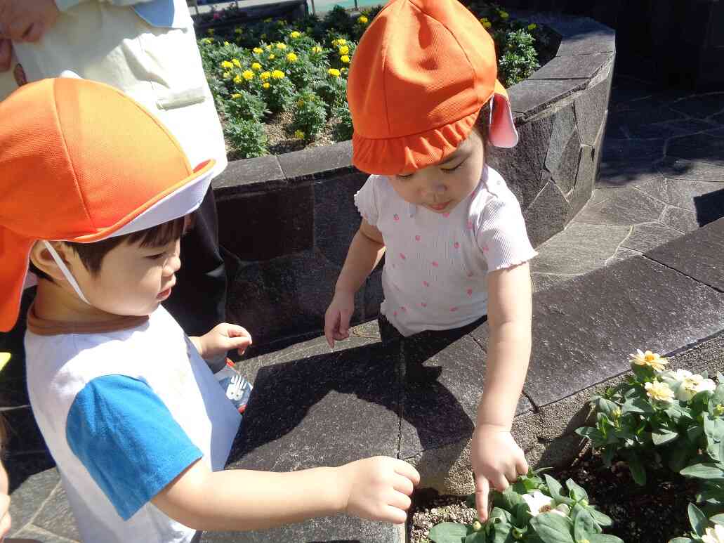 公園の花壇では・・