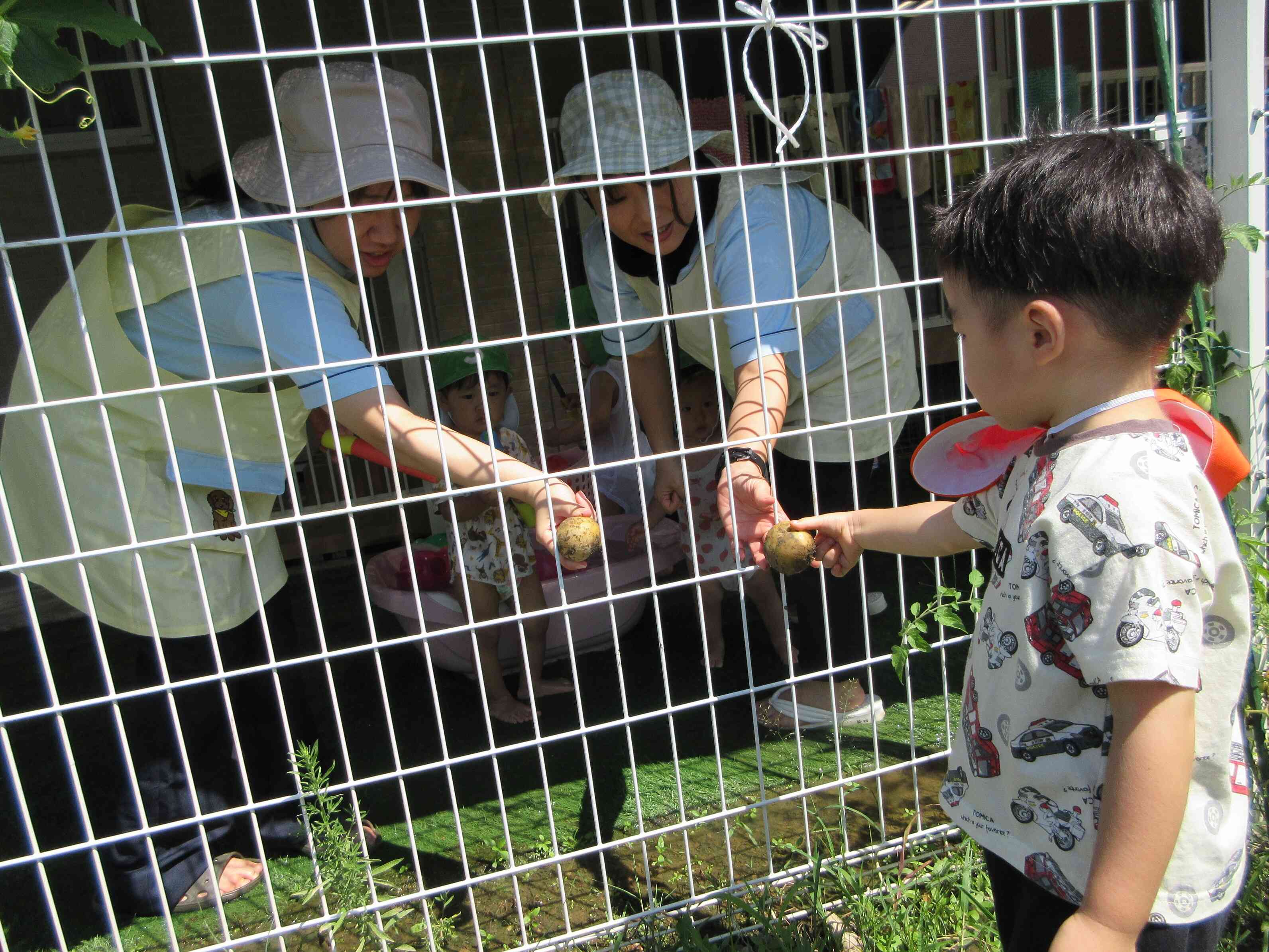 あひる組（１歳児）の先生達にも「はい、どうぞ！」