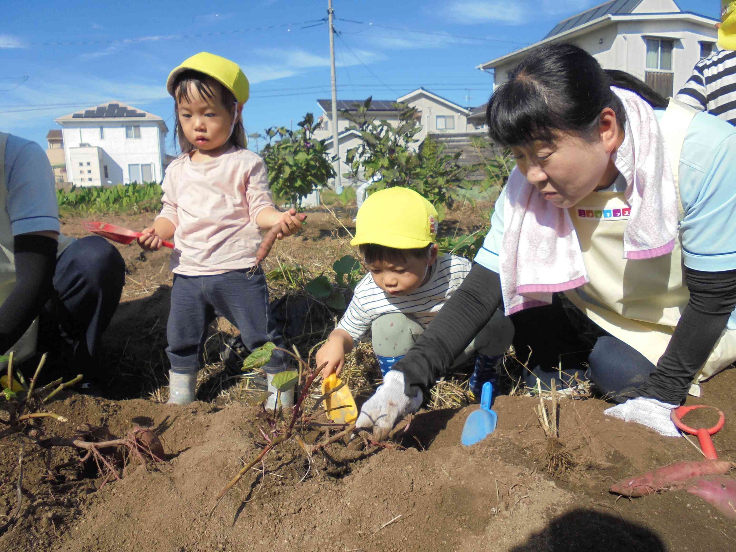 「一緒に掘ろー」保育者と一緒に♪