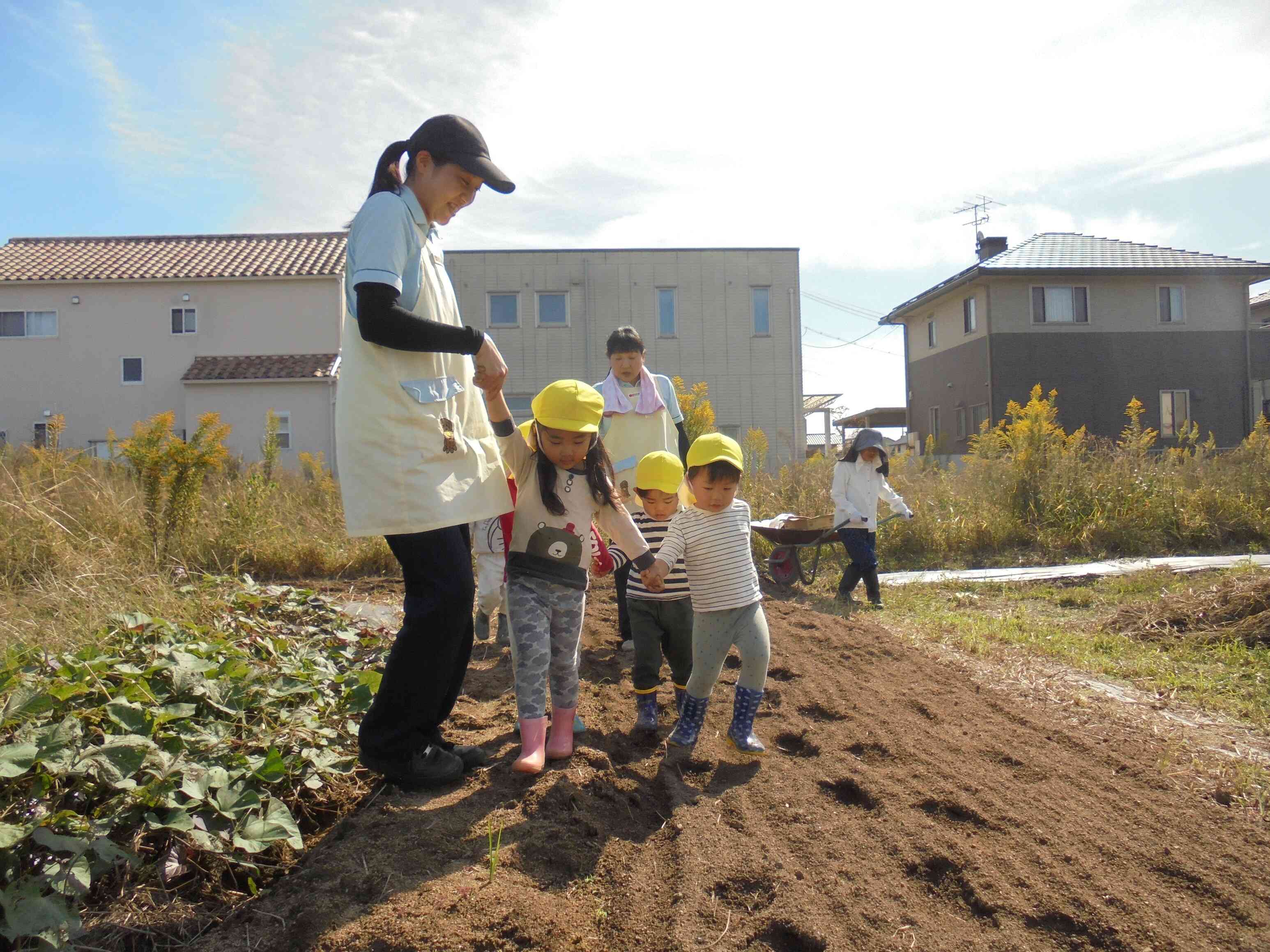 畑のふわふわした土の上を慎重に歩く子ども達！