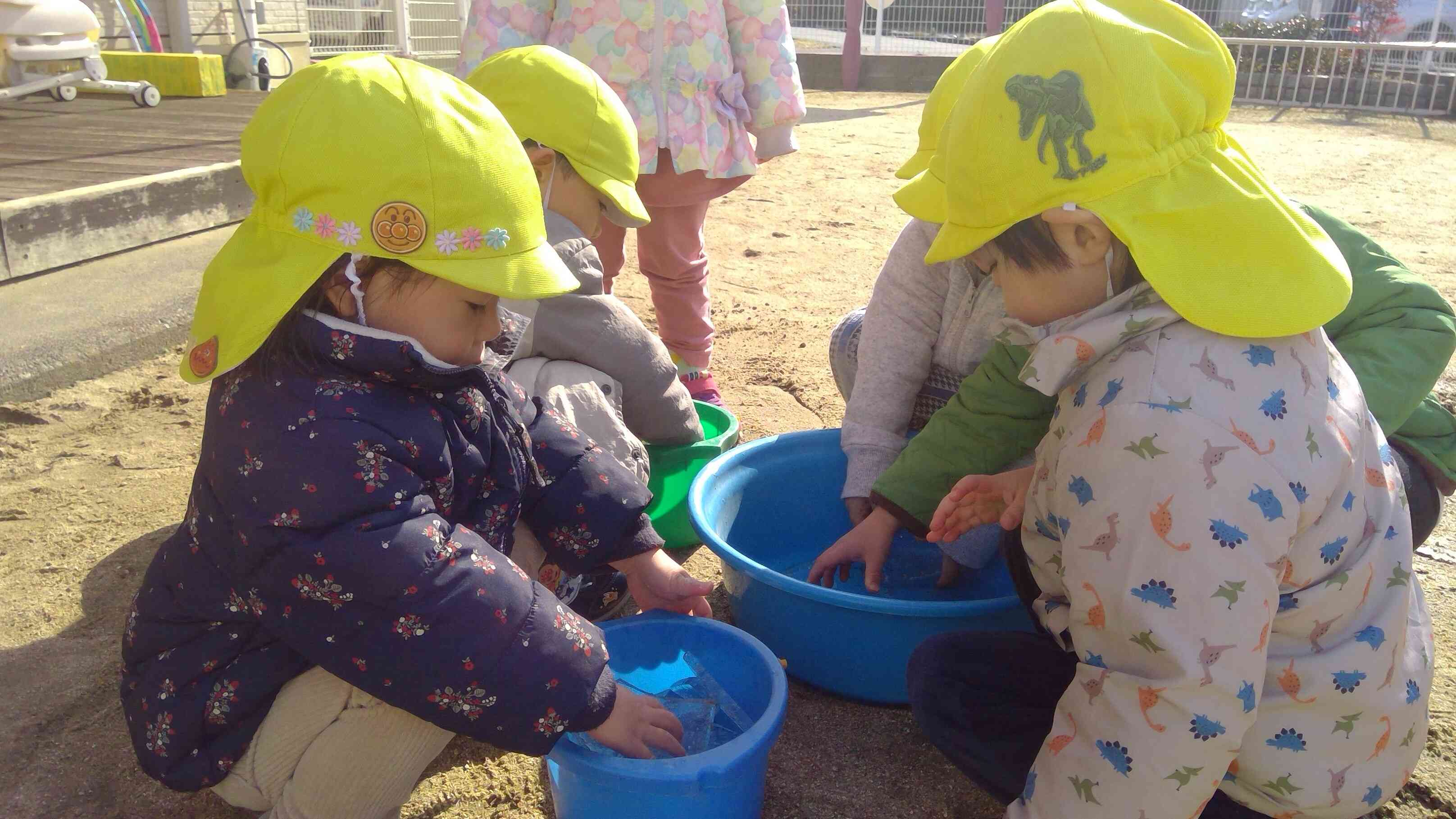 つめた～い氷を触って遊んだよ