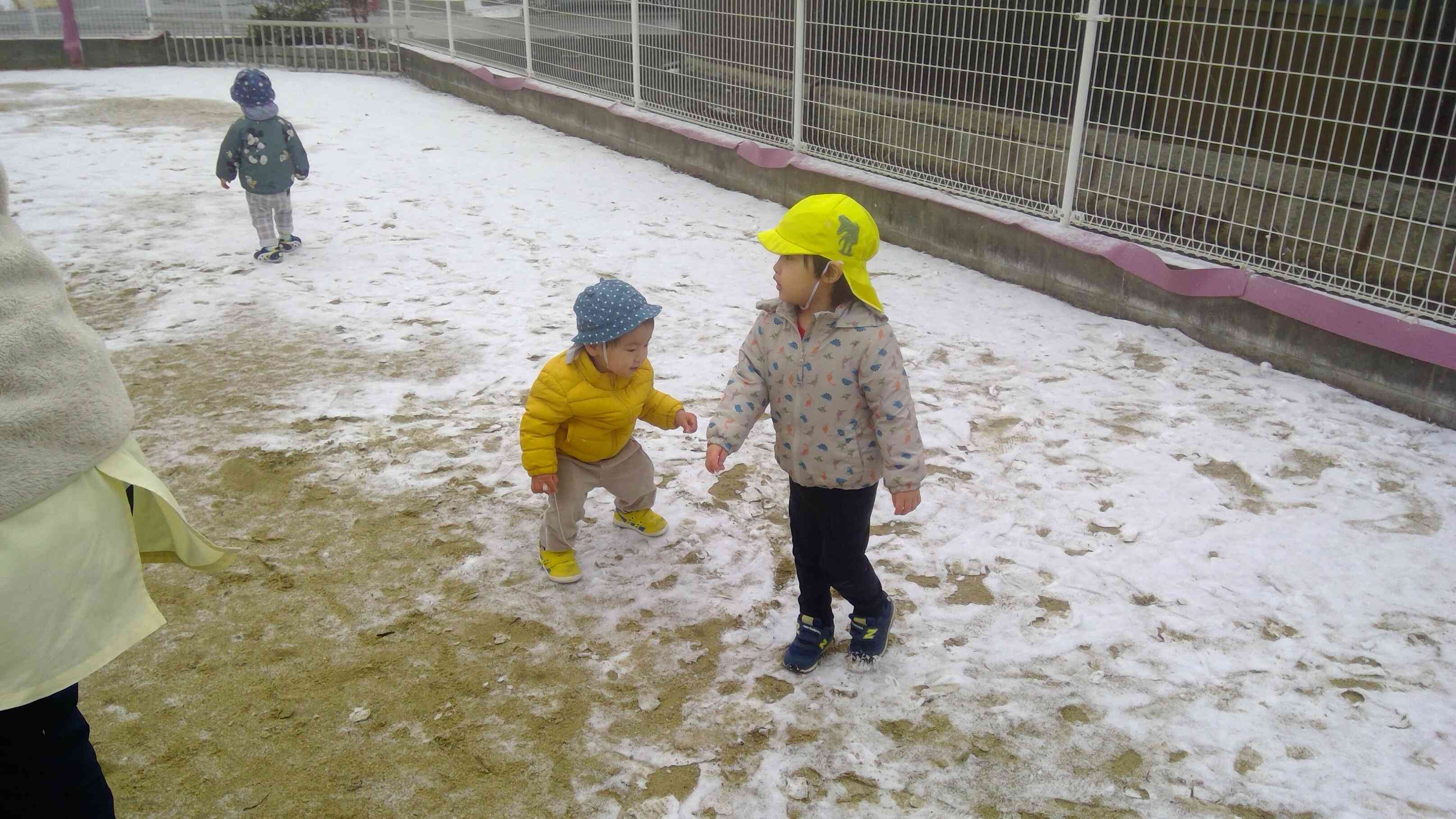 1人で歩けるようになったひよこぐみのおともだち、雪の感触を味わいながら一歩一歩前に進みますよ