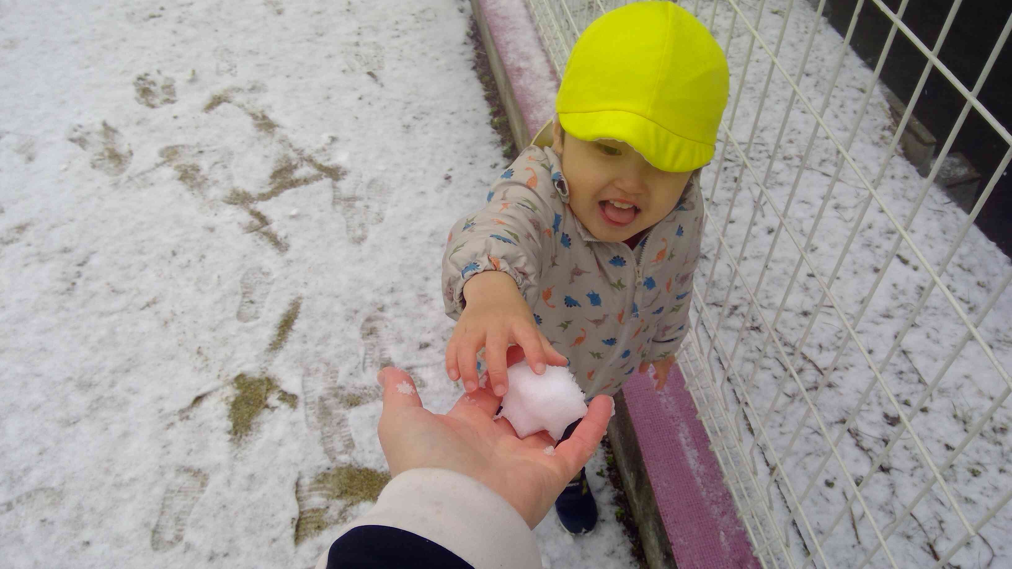 先生に雪のプレゼント