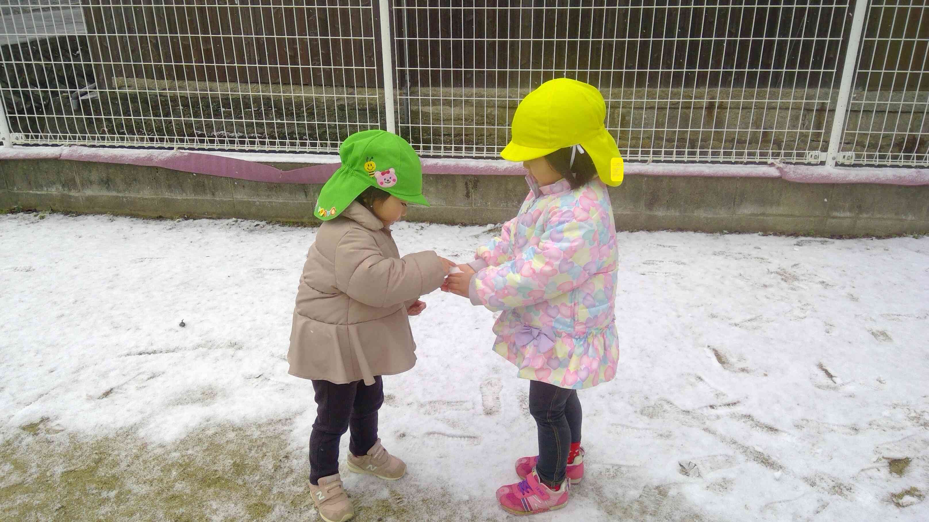 「触ってごらん」あひるぐみさんに触らせてあげる、優しいうさぎぐみ（2歳児）のおともだち