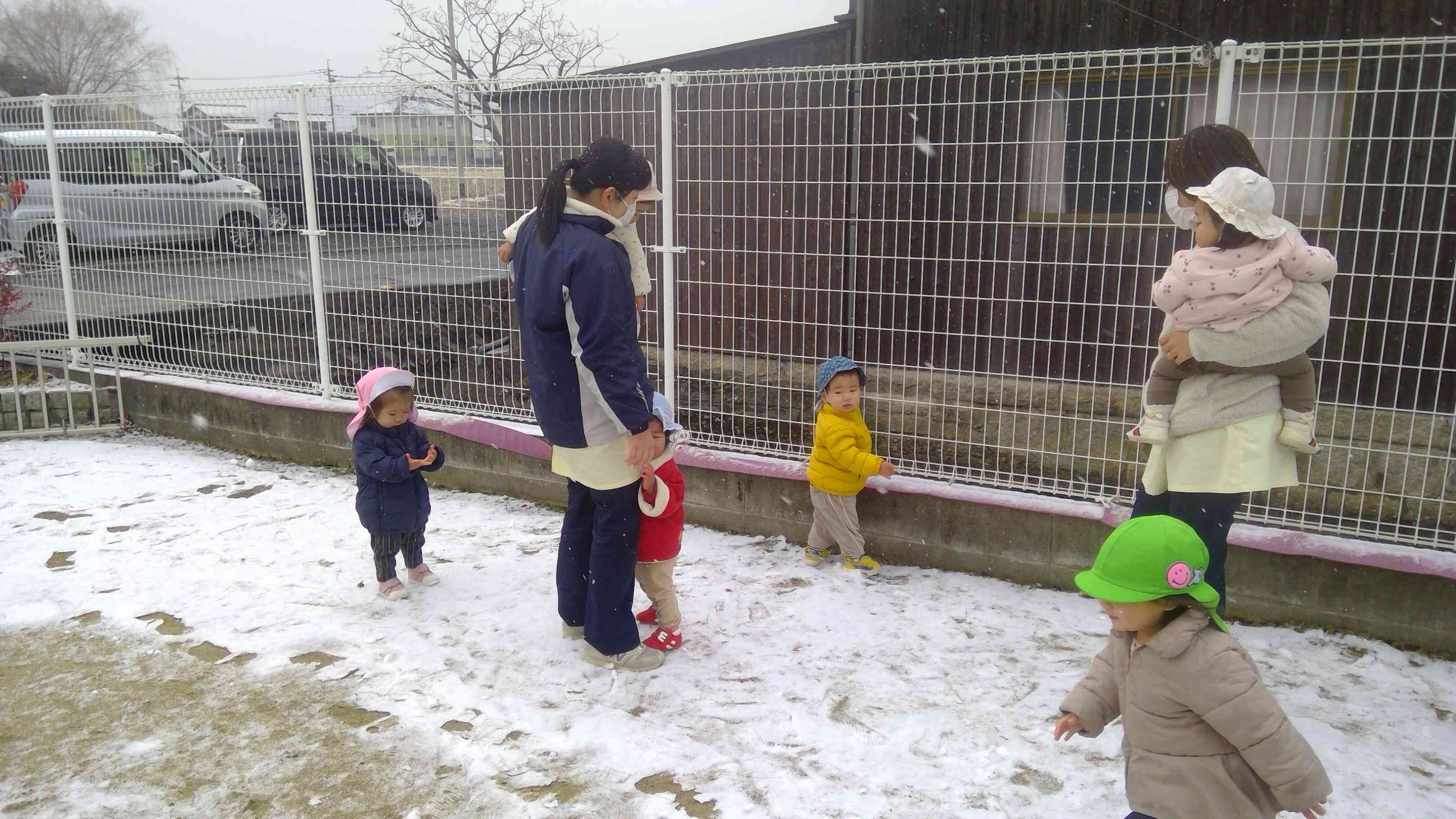 ひよこぐみさん、初めての雪にビックリ