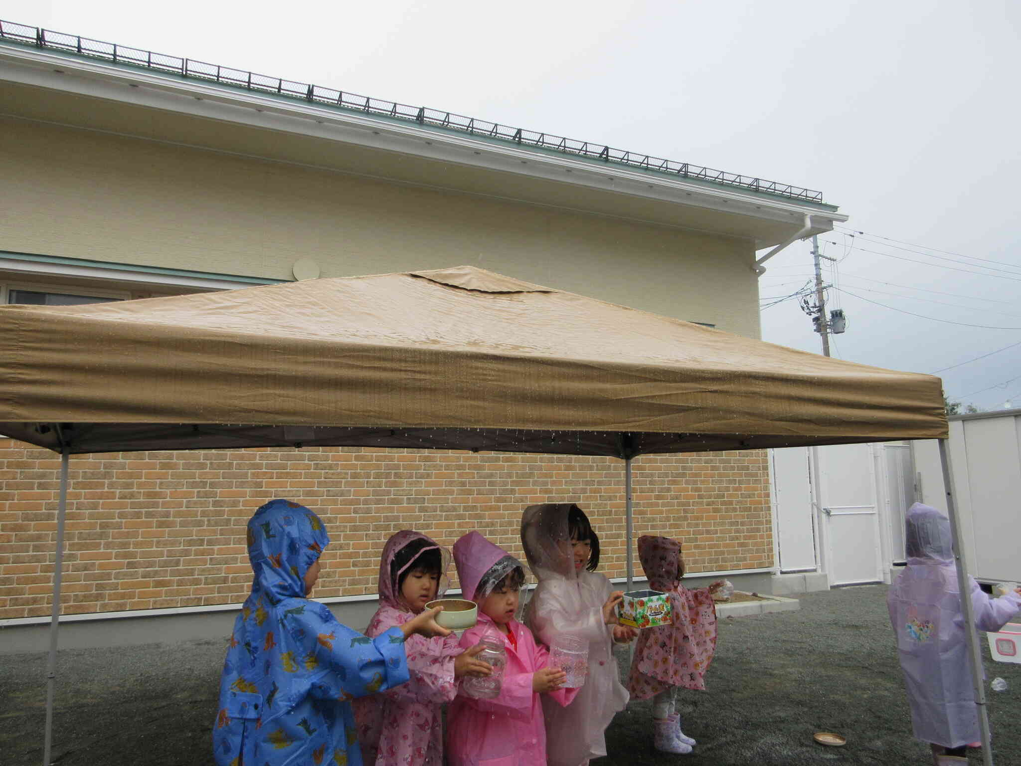 テントの雨だれを容器に溜めています。