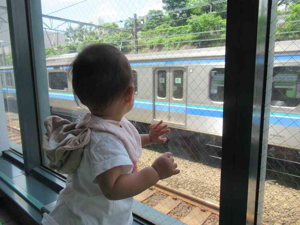 電車を見たよ！（ひよこ組0歳児）