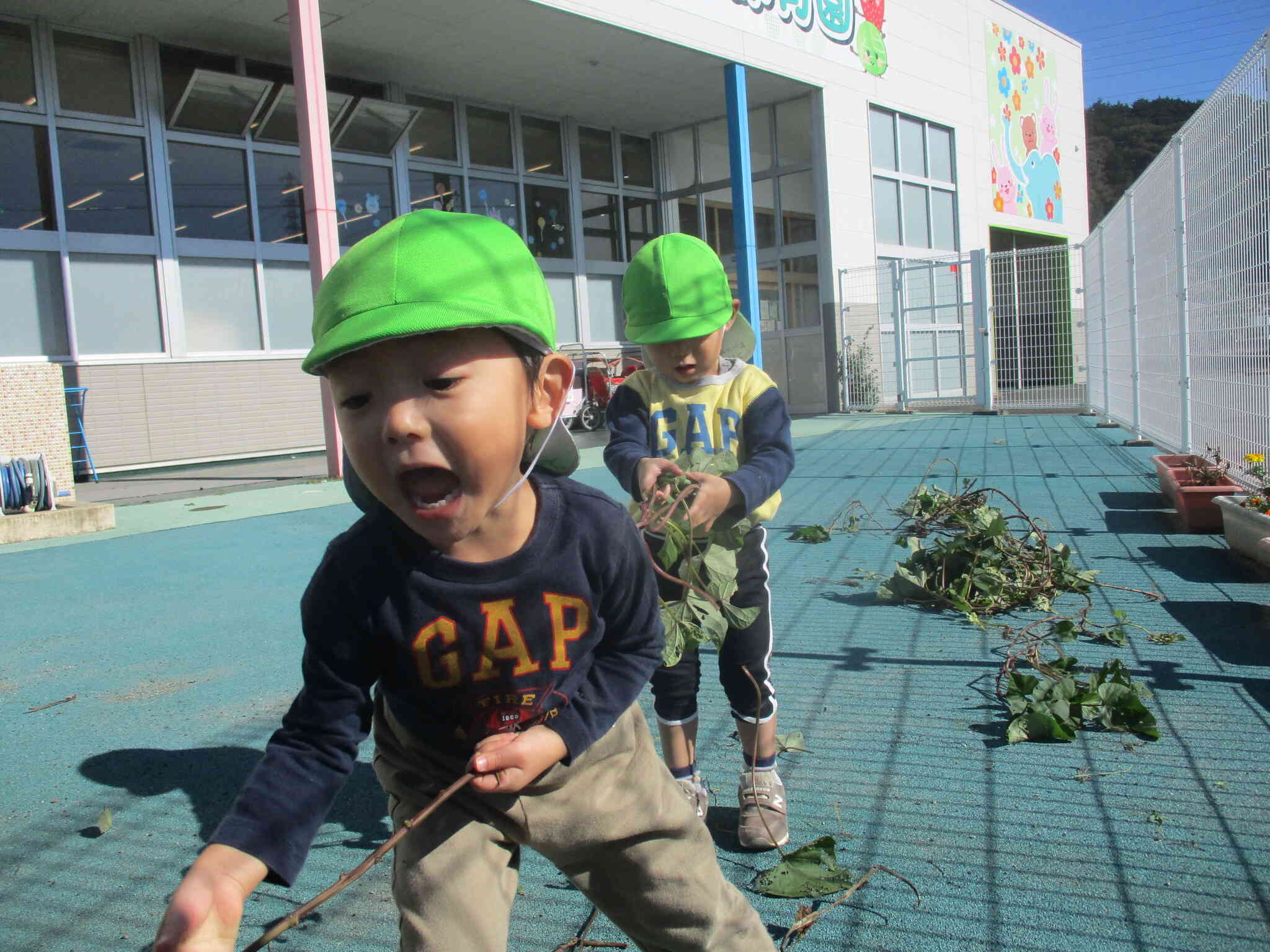 前日に２歳児さんがつるを抜いてくれました