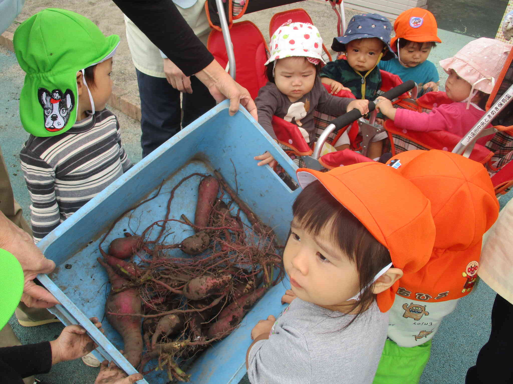 ０歳児さんも興味津々です