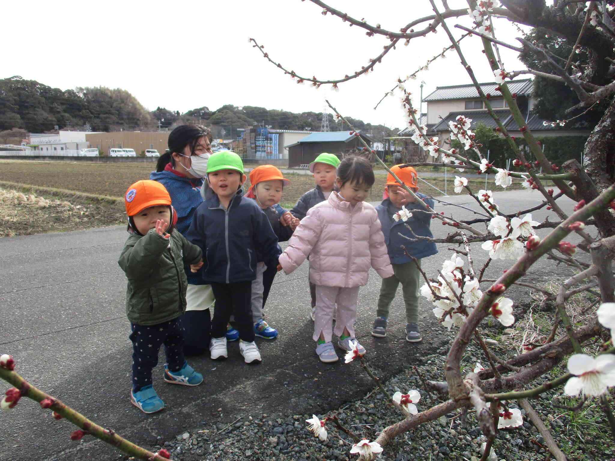 春を見つけにお散歩に行きました☆