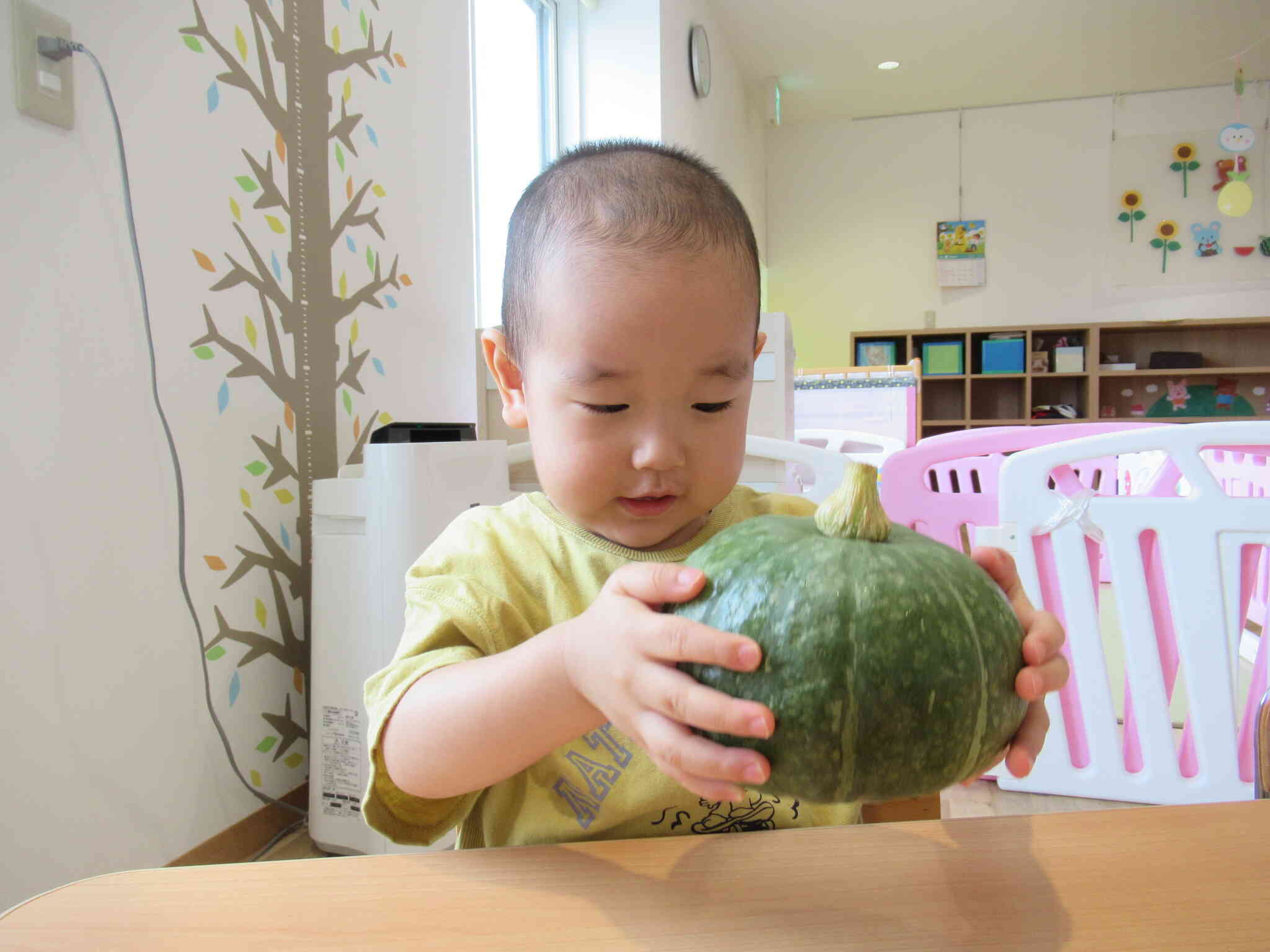 これはかぼちゃだね！ちょっと持ち上げてみるよ☆