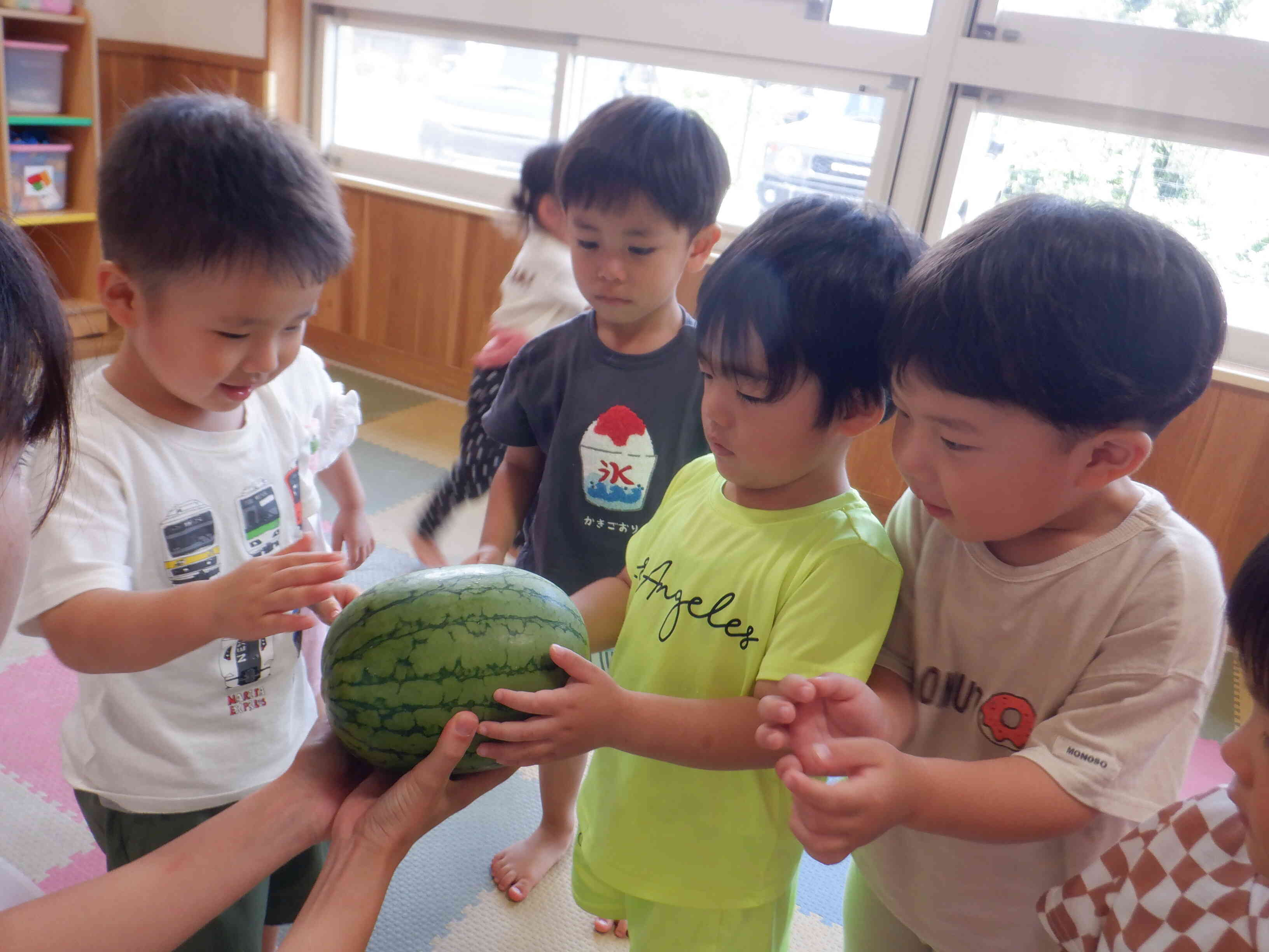 食育　すいかわり