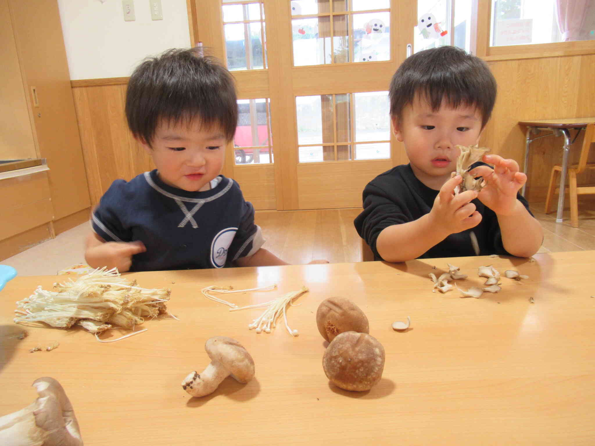 食育　きのこに触れる