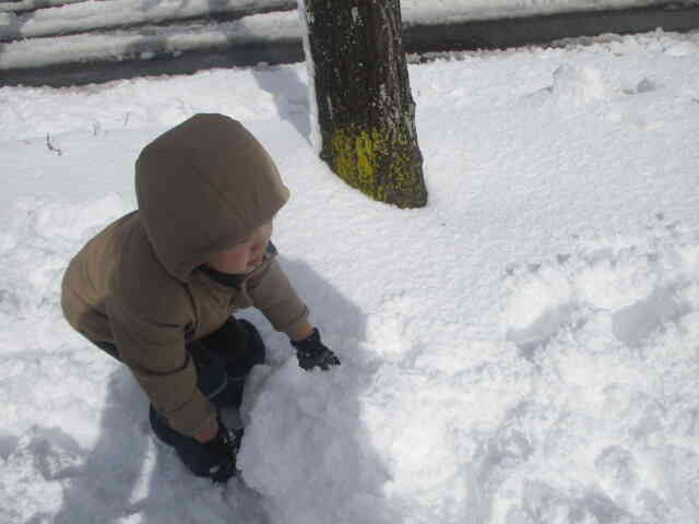 雪だるま作るよー