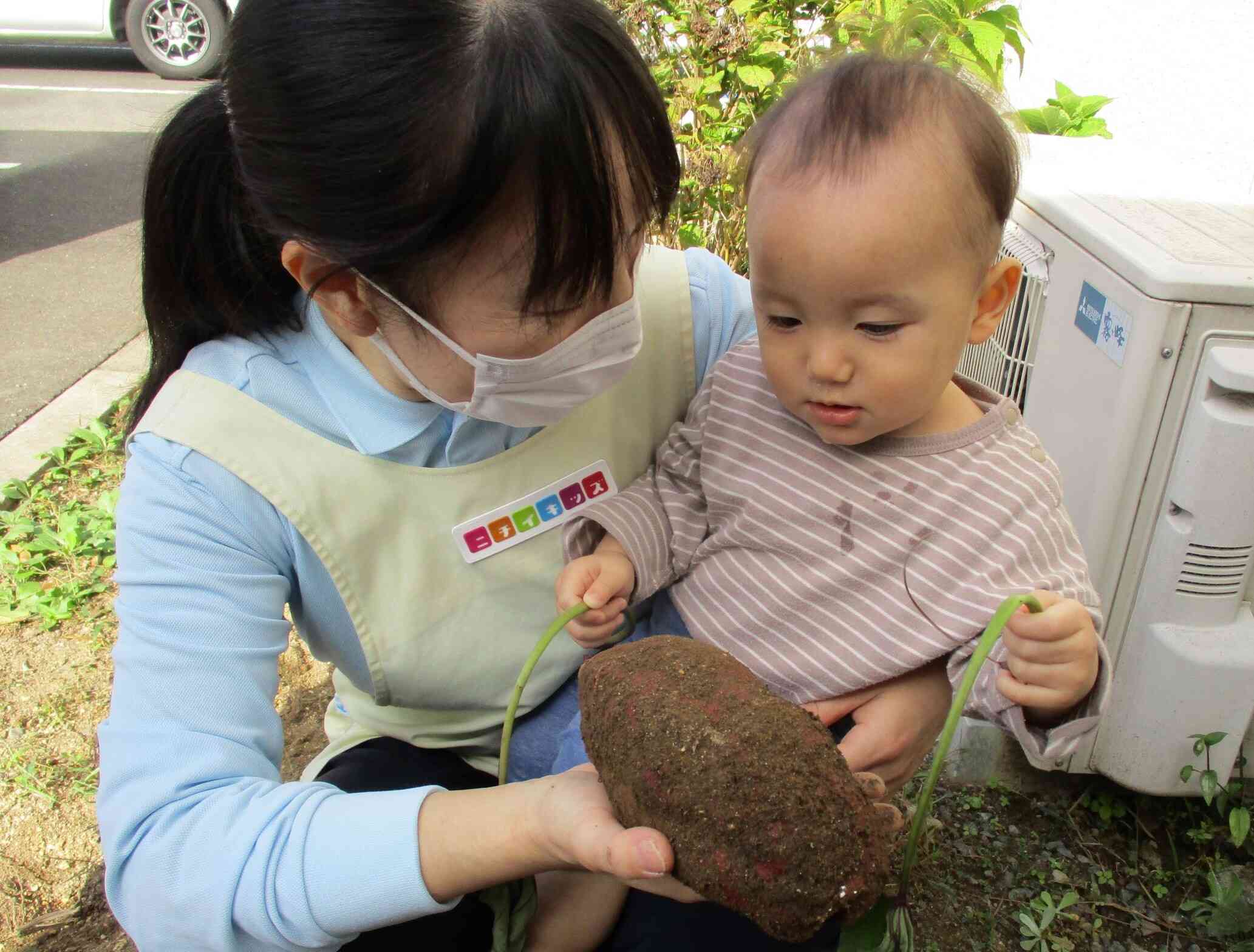 大きなさつまいもにビックリ！