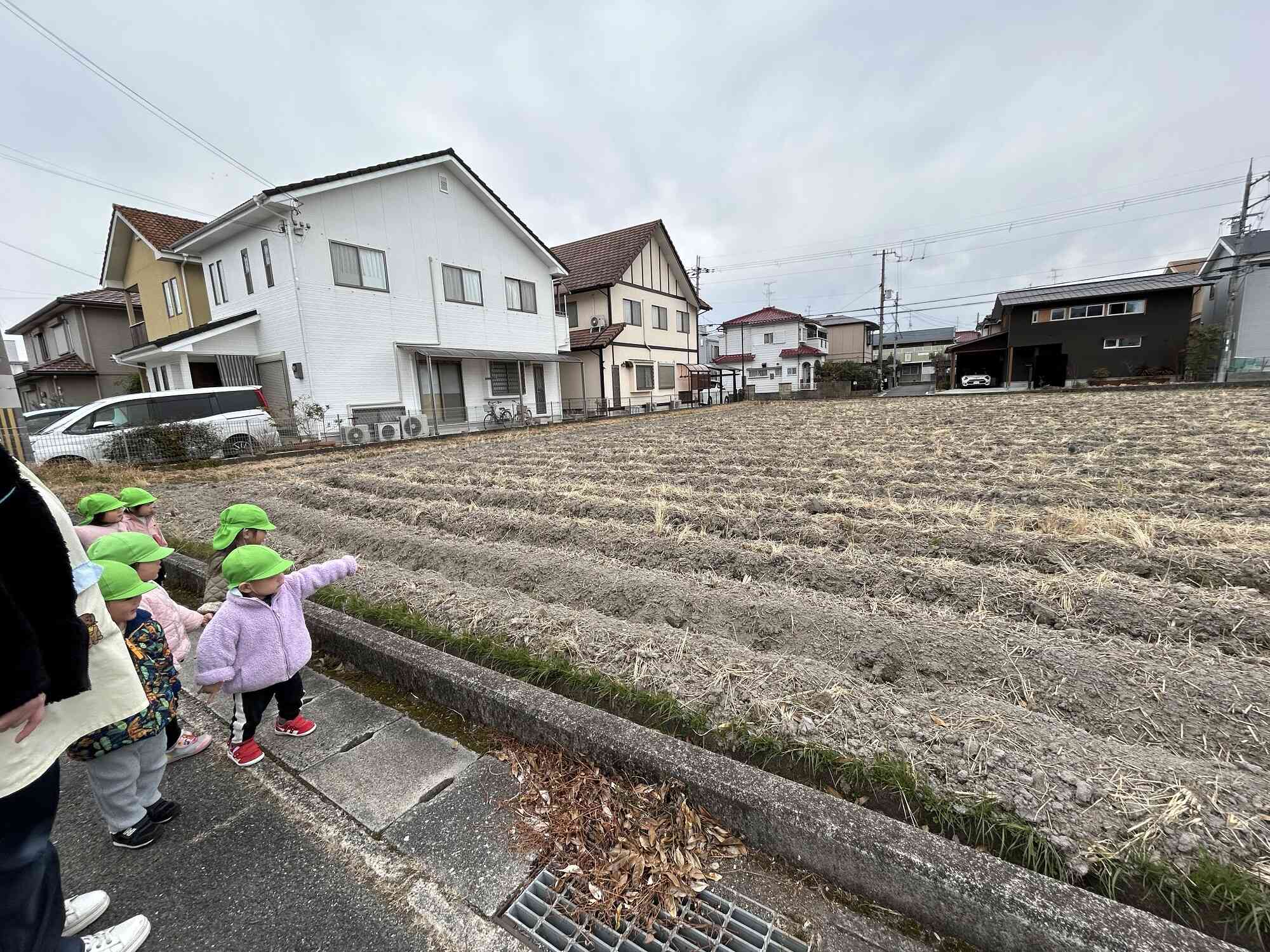 「あ！鳥さんがいるよ！」