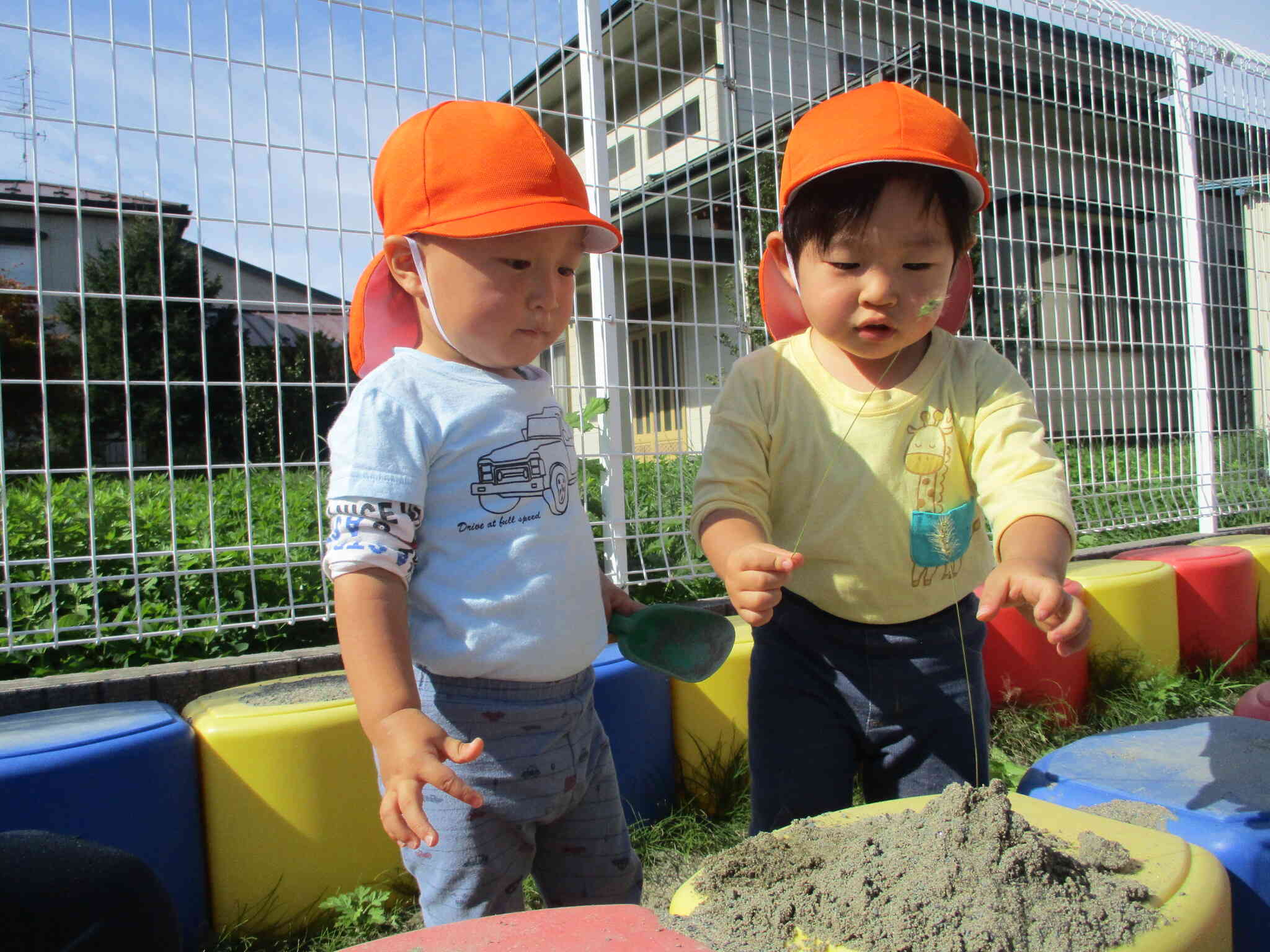 園庭遊び（１・２歳児）