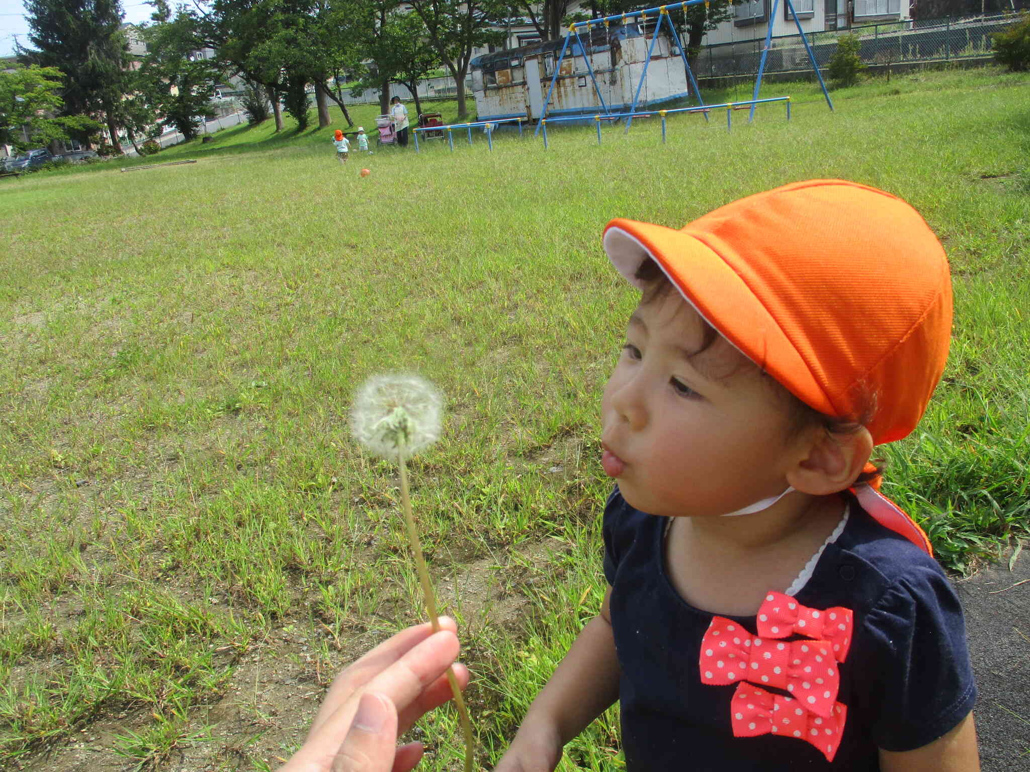 上手にたんぽぽの綿毛を吹き飛ばしたよ。