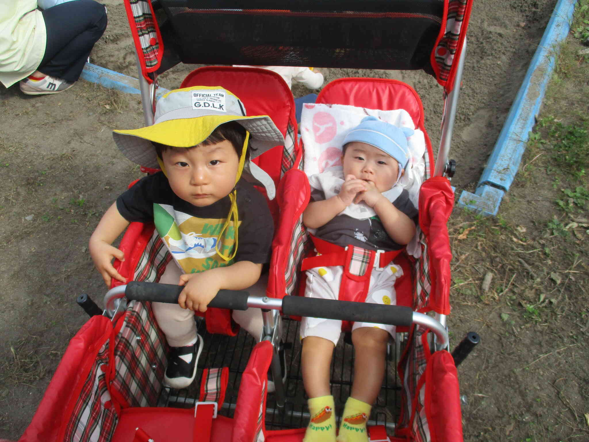 ひよこ組（0歳児）のお友だちも散歩車に乗って気持ちいね。