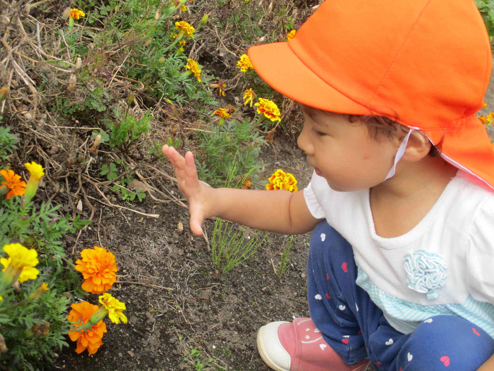 お花も砂場の近くにあったよ！