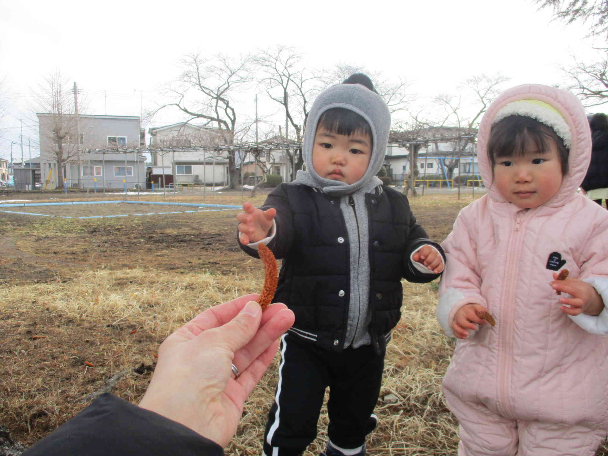 保育者からも拾ってもらったよ。嬉しそうに受け取っていました。