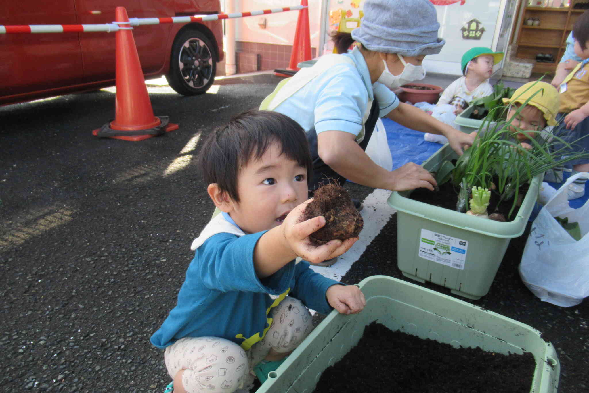 お芋を掘るぞー！