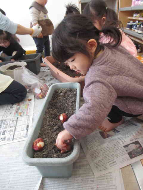 どこに植えようかなぁ？