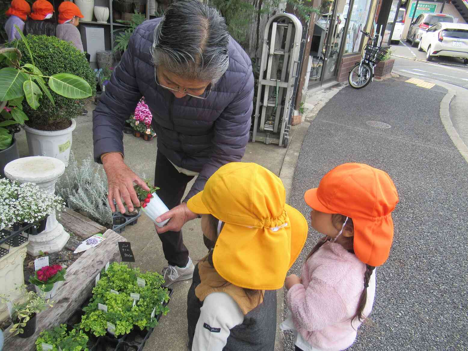 赤い実がついてるお花