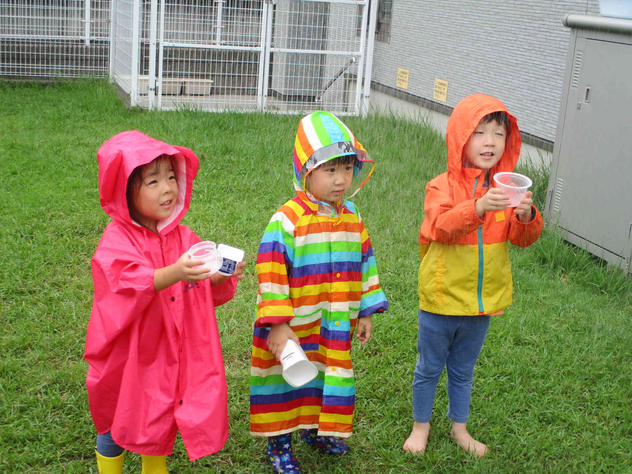 「雨くださ～い！」