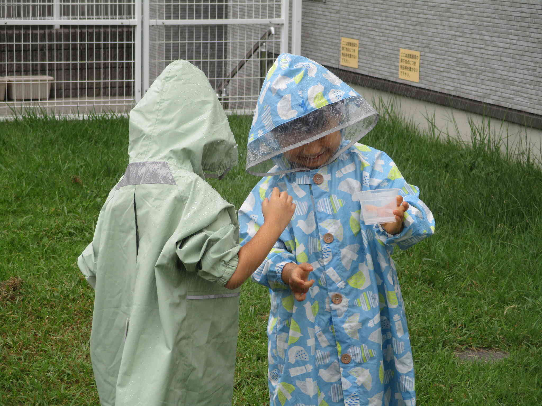 「容器に雨をいれるの大変だな～」