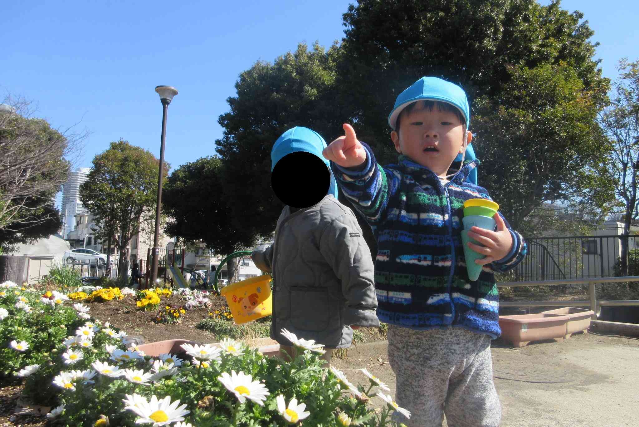 花壇のお花も