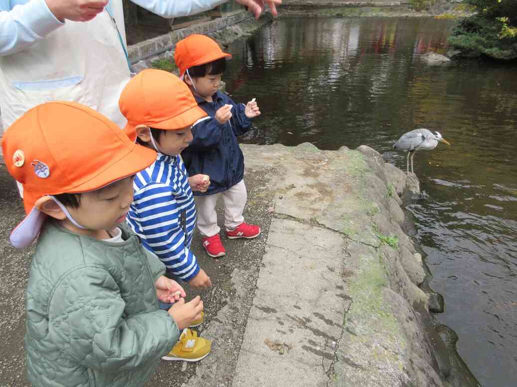 ちょっとおおきな鳥さんも