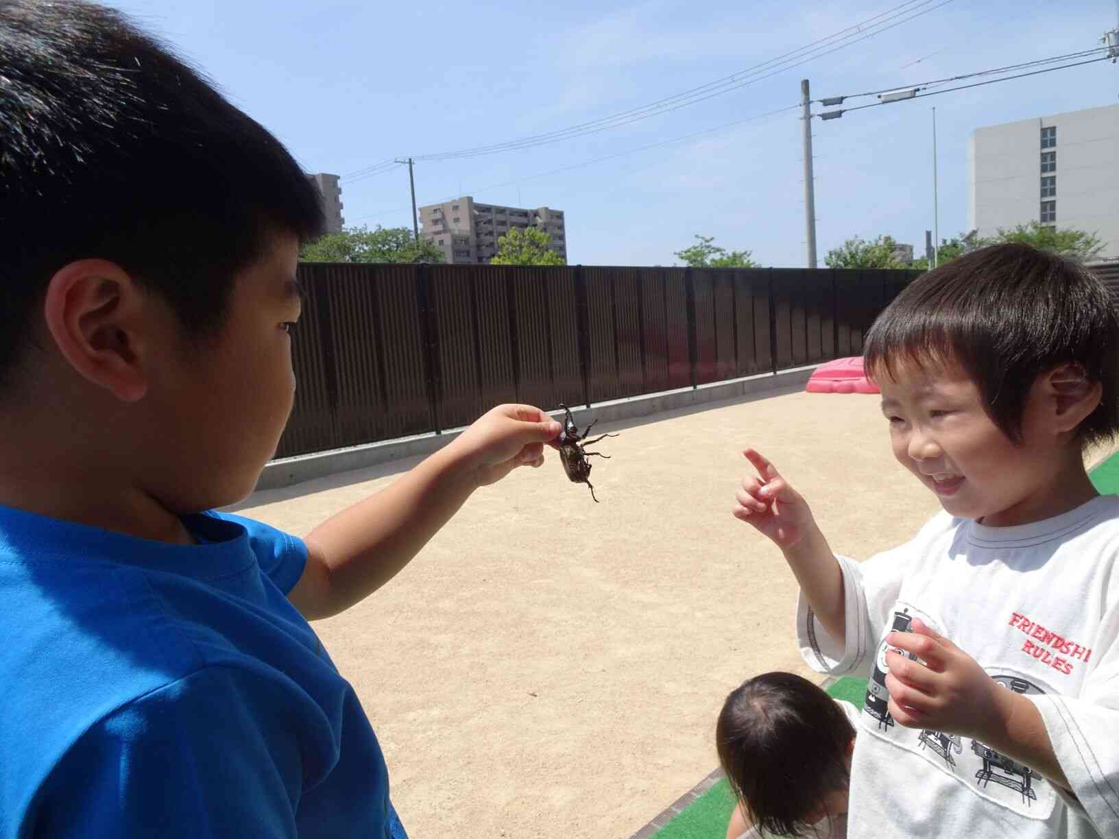 カブトムシも元気いっぱい！