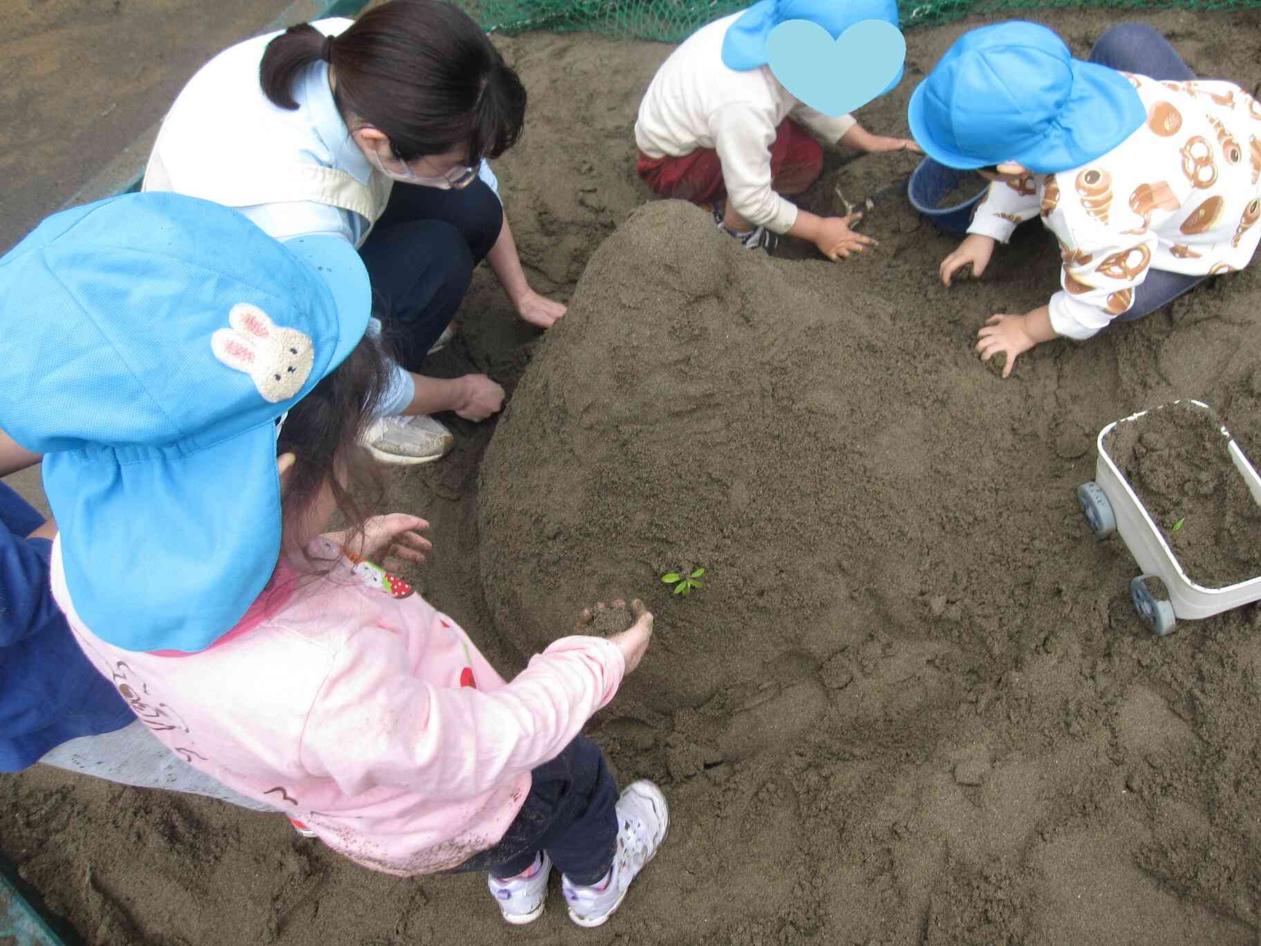 葉っぱをちょこんと植えてあげていました♪