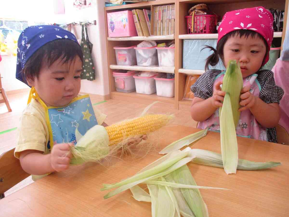 8月の食育